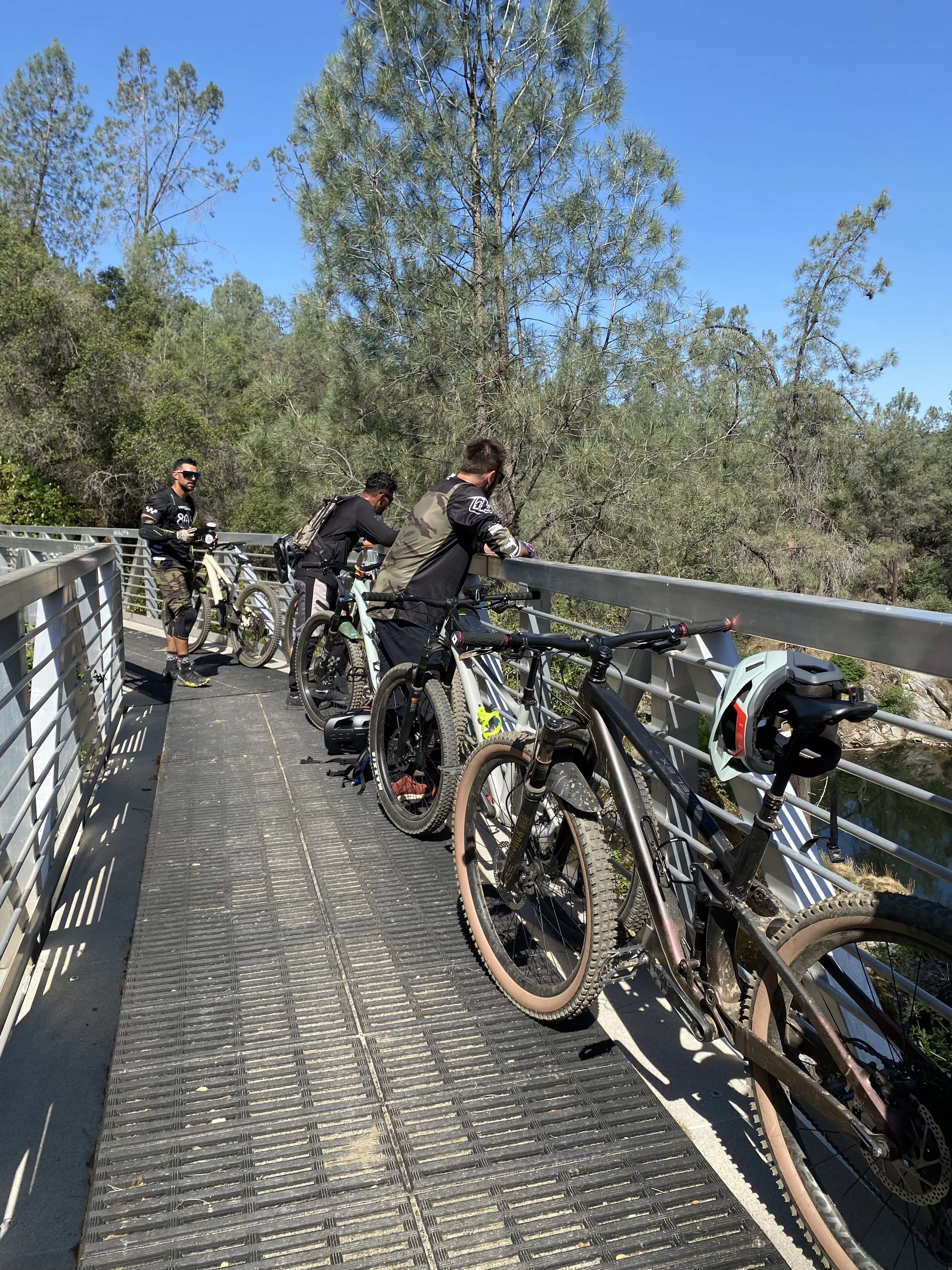 Four men with mountain bikes on a bridge overlooking trees and a body of water on a sunny day.