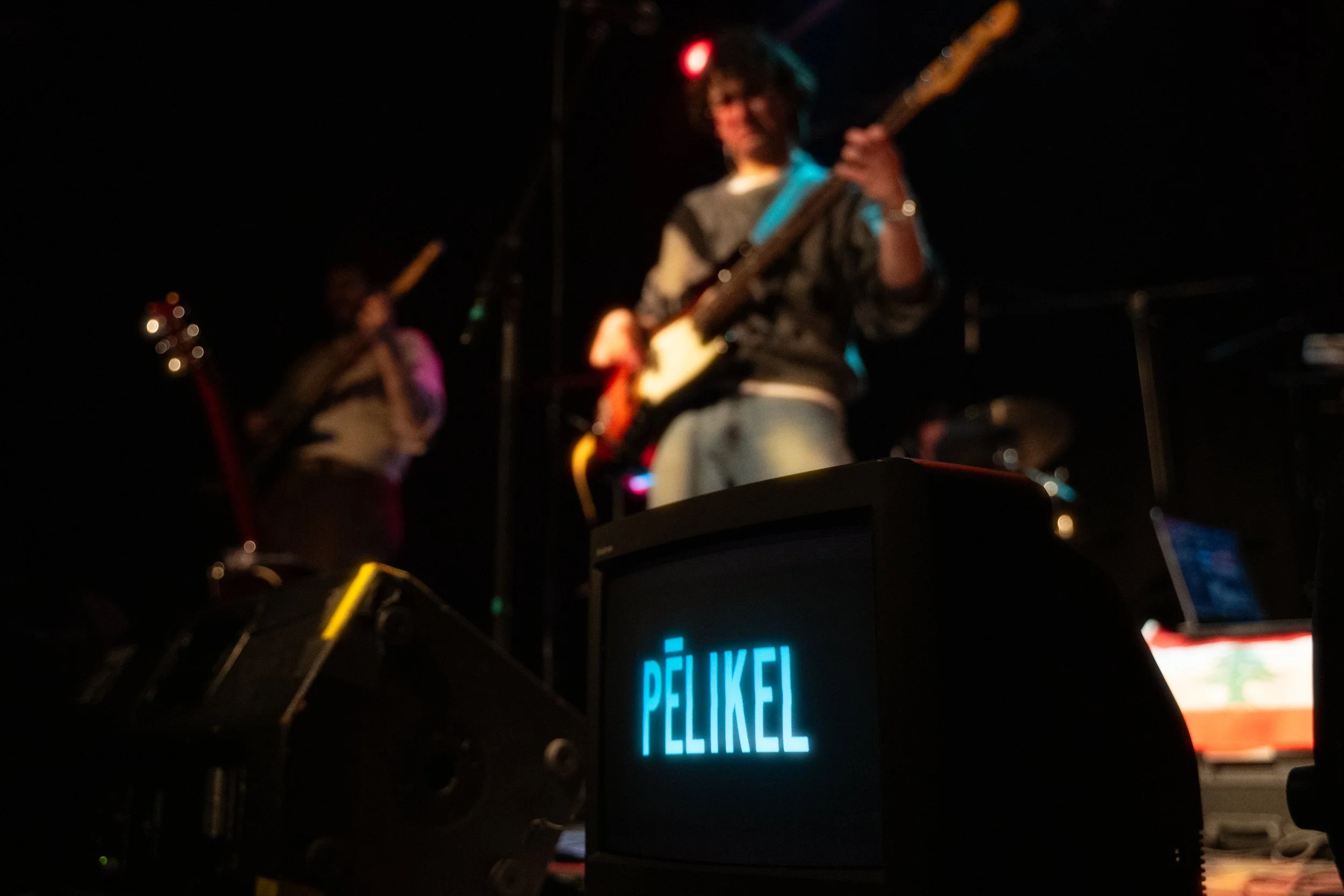 PELIKEL-17.jpg