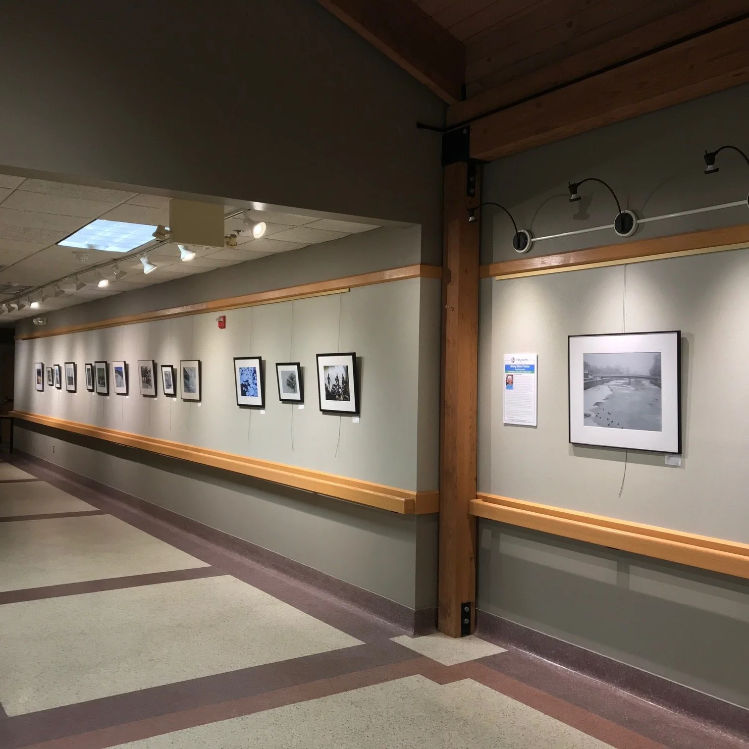 Gallery with framed photographs on a green wall, track lighting above, and a wood beam structure on the right side.