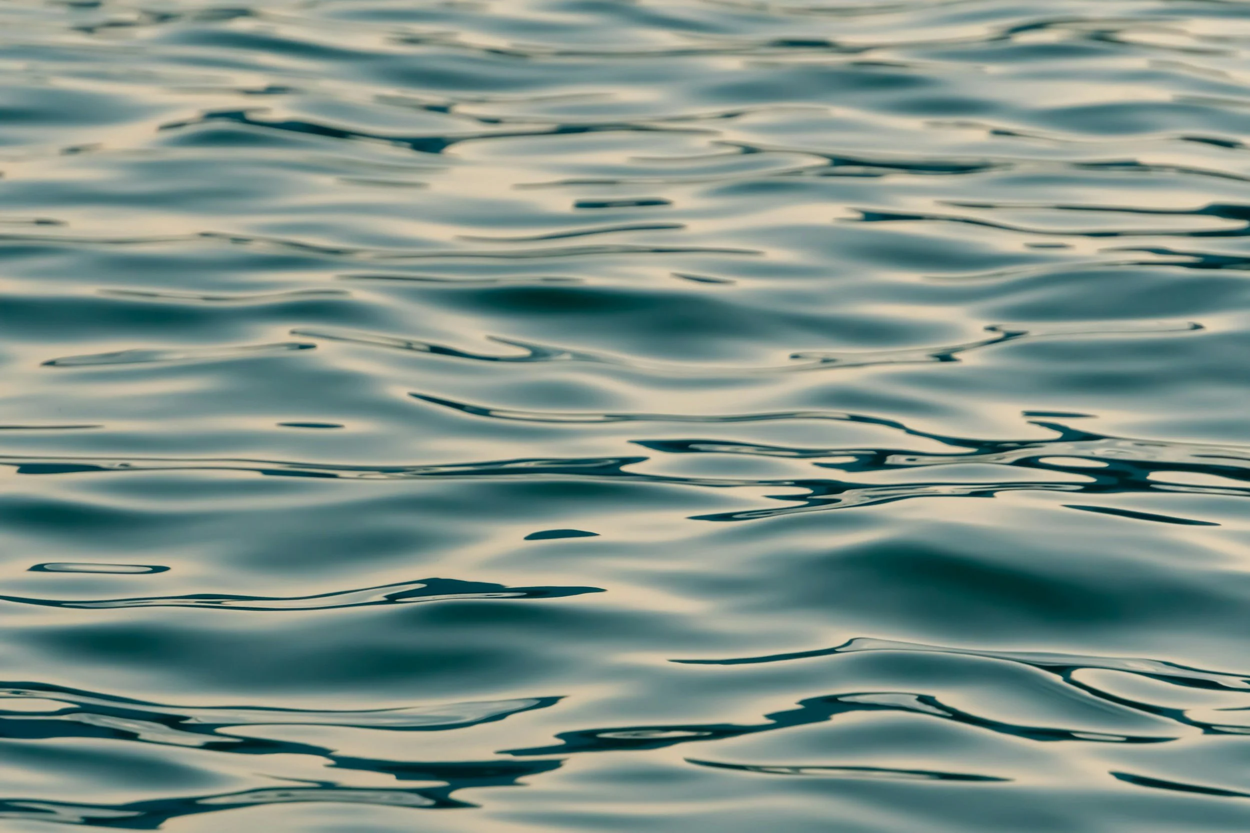 Close-up view of water with gentle ripples and a reflective surface.