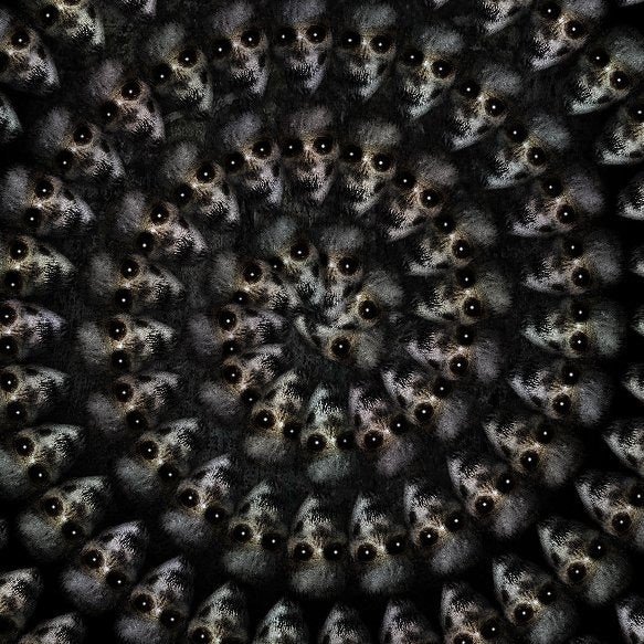 Scary_facy_image_8x8_28Tan_29_copy_3372c38e-d265-4067-8774-ce3771172499.jpeg