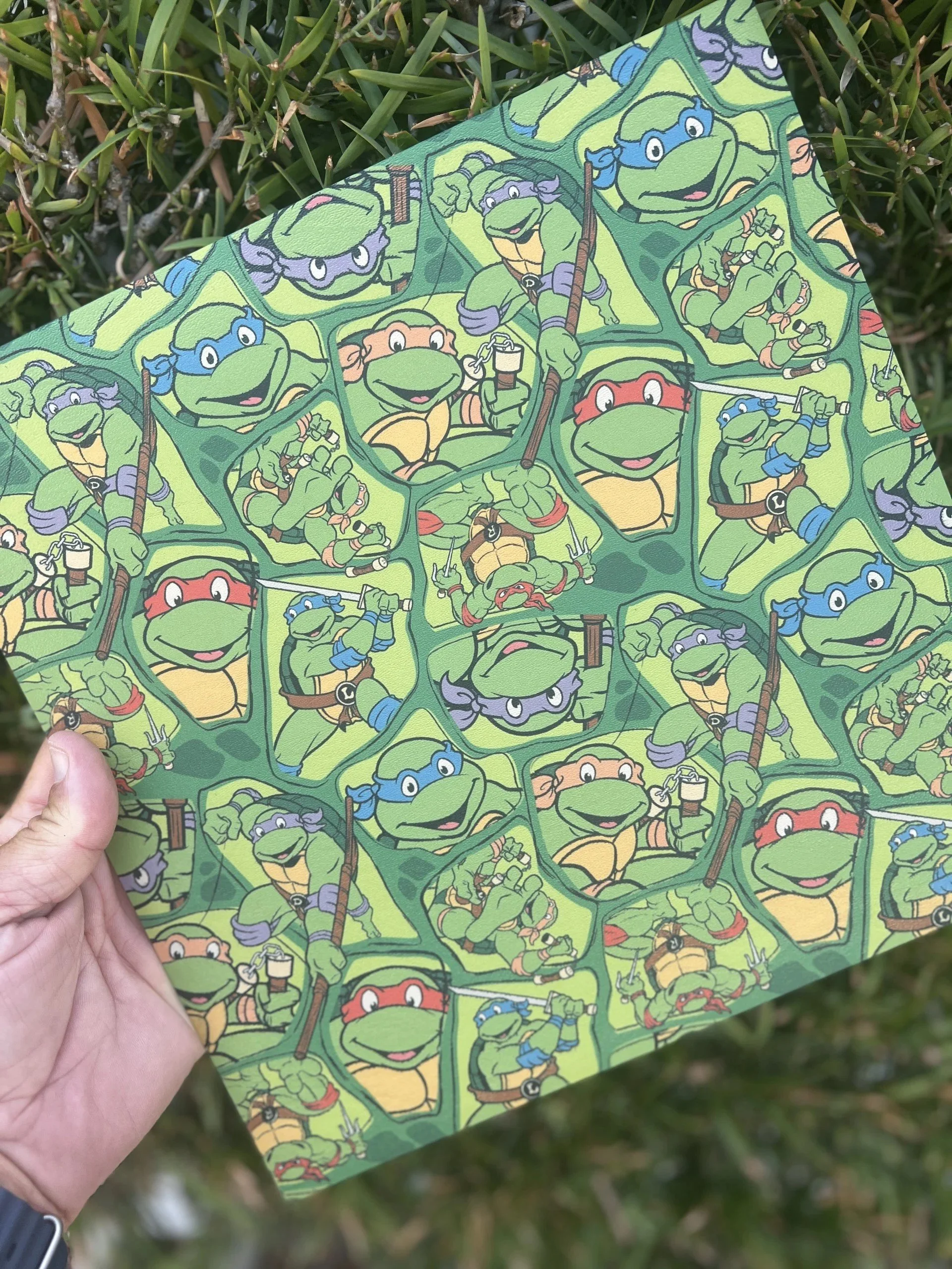 NinjaTurtles.jpeg