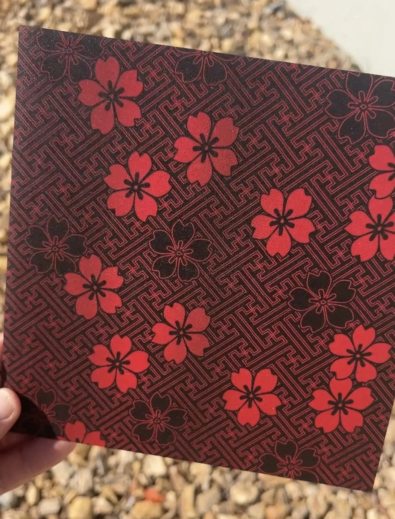 TranscendentGardenRed.jpeg