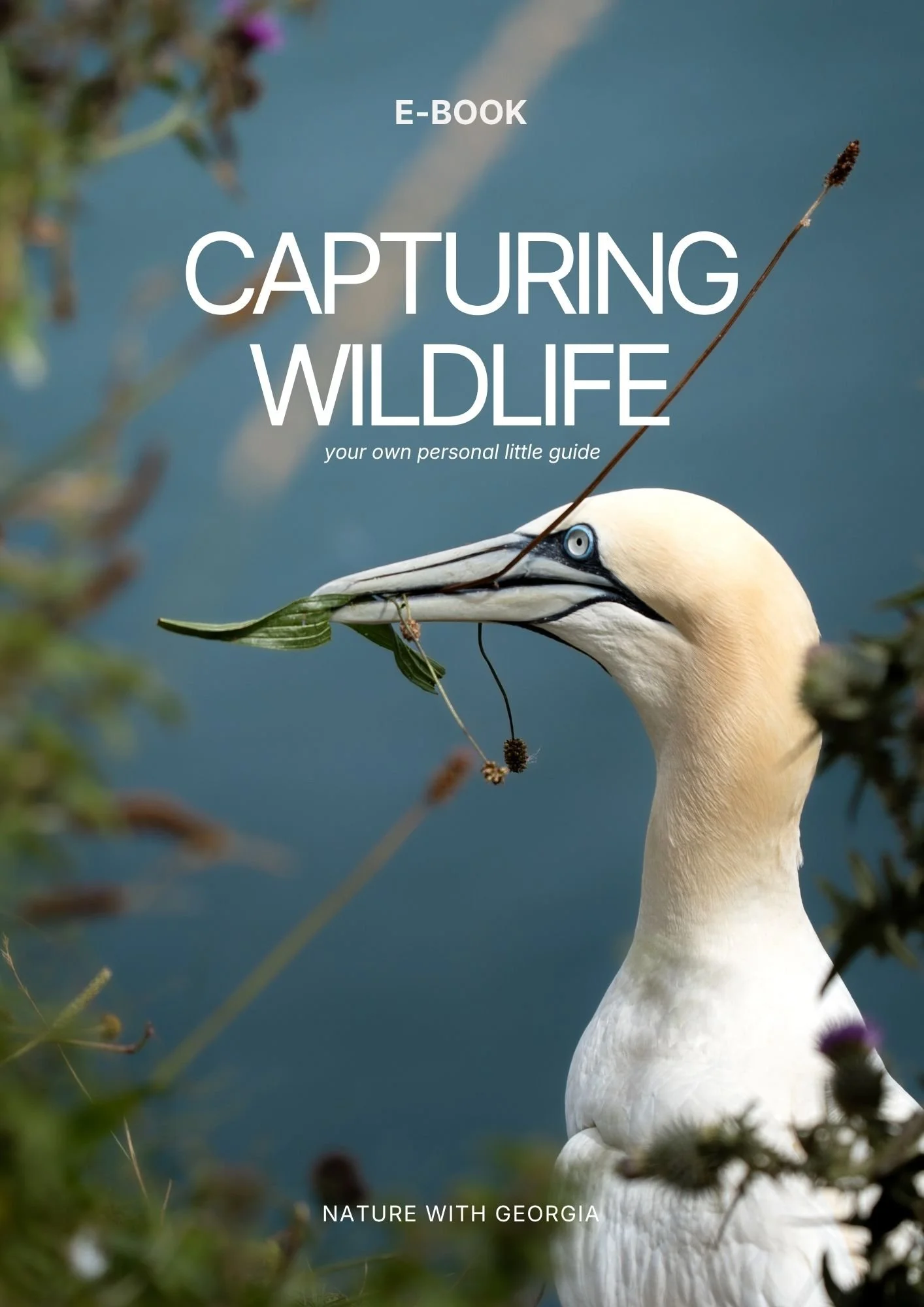 Capturing Wildlife (E-Book)
