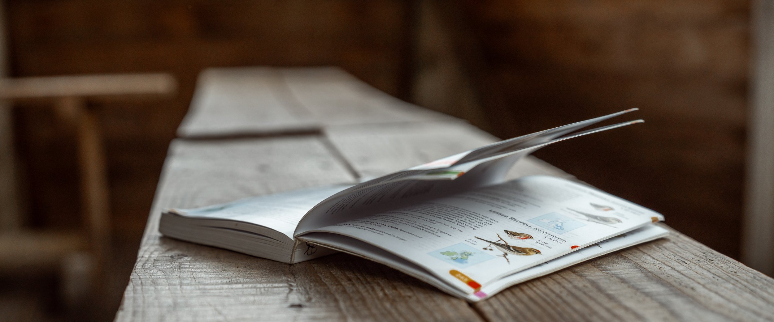 Open book on a wooden table with illustrations and text, blurred background.
