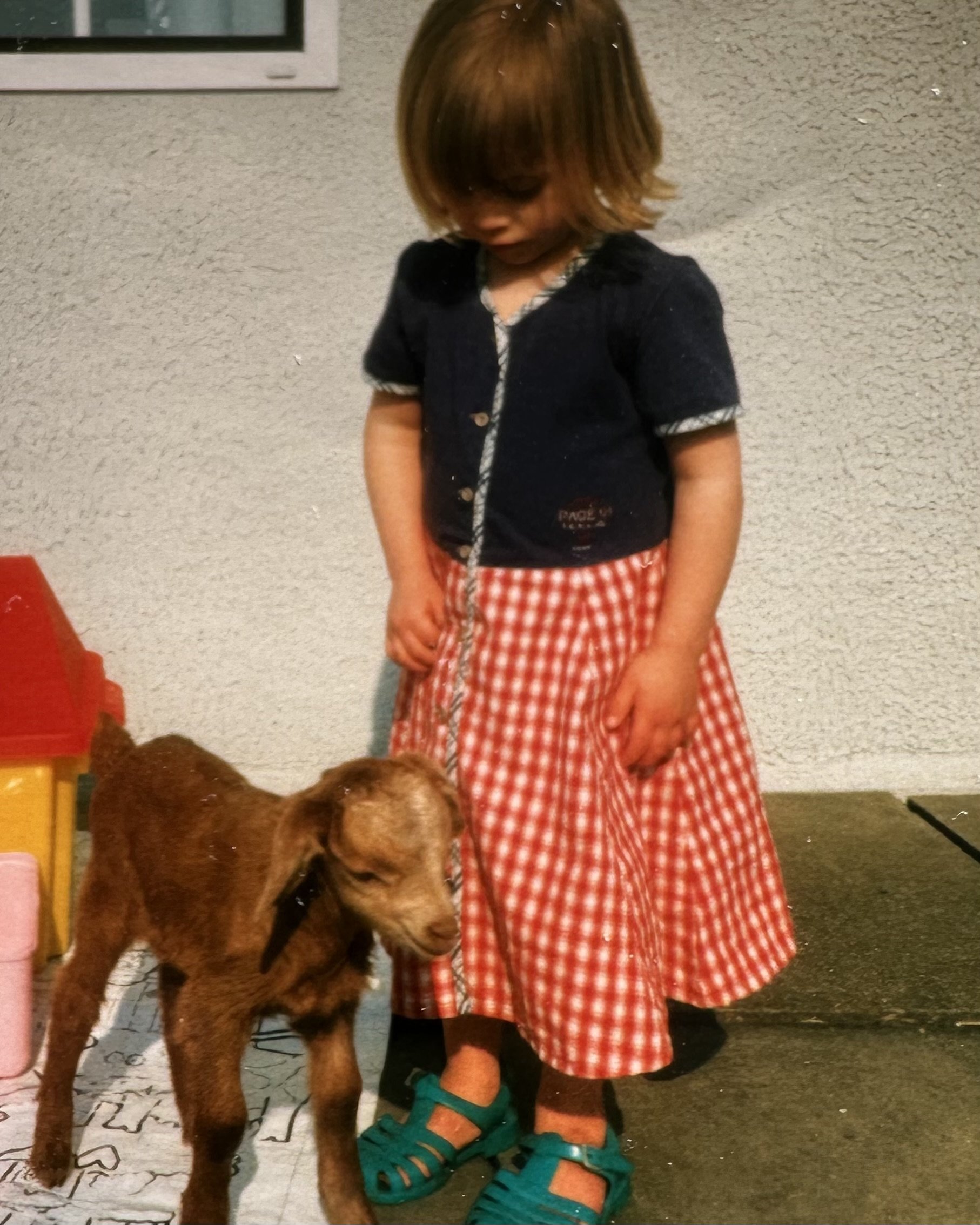 A young girl standing on a patterned floor with a brown dog. The girl has shoulder-length hair, wearing a black jacket, red checkered skirt, and teal sandals.