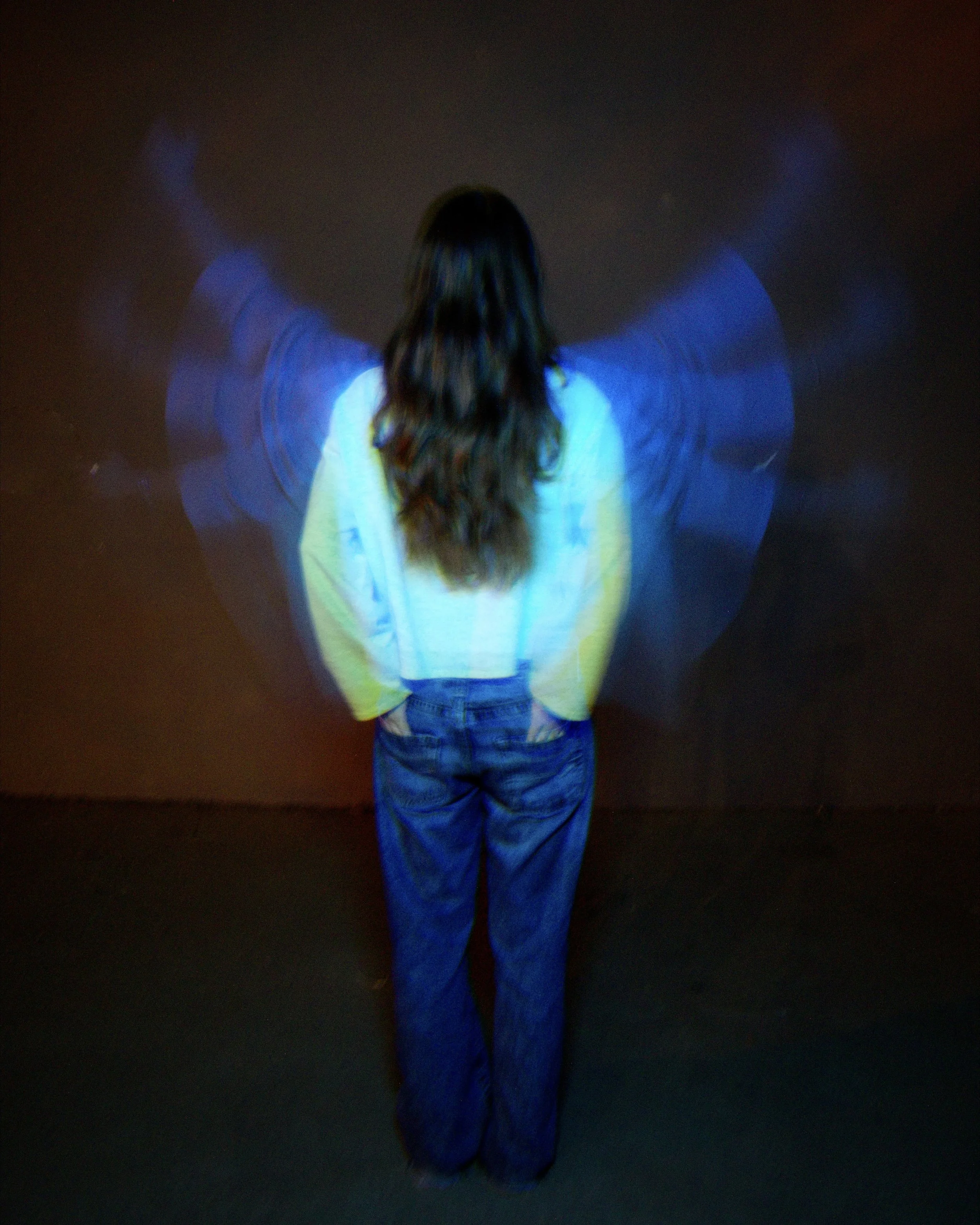 Wings 02