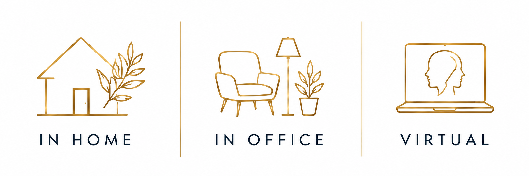 Icons illustrating three work environments: in home, in office, and virtual, with labels beneath each icon.