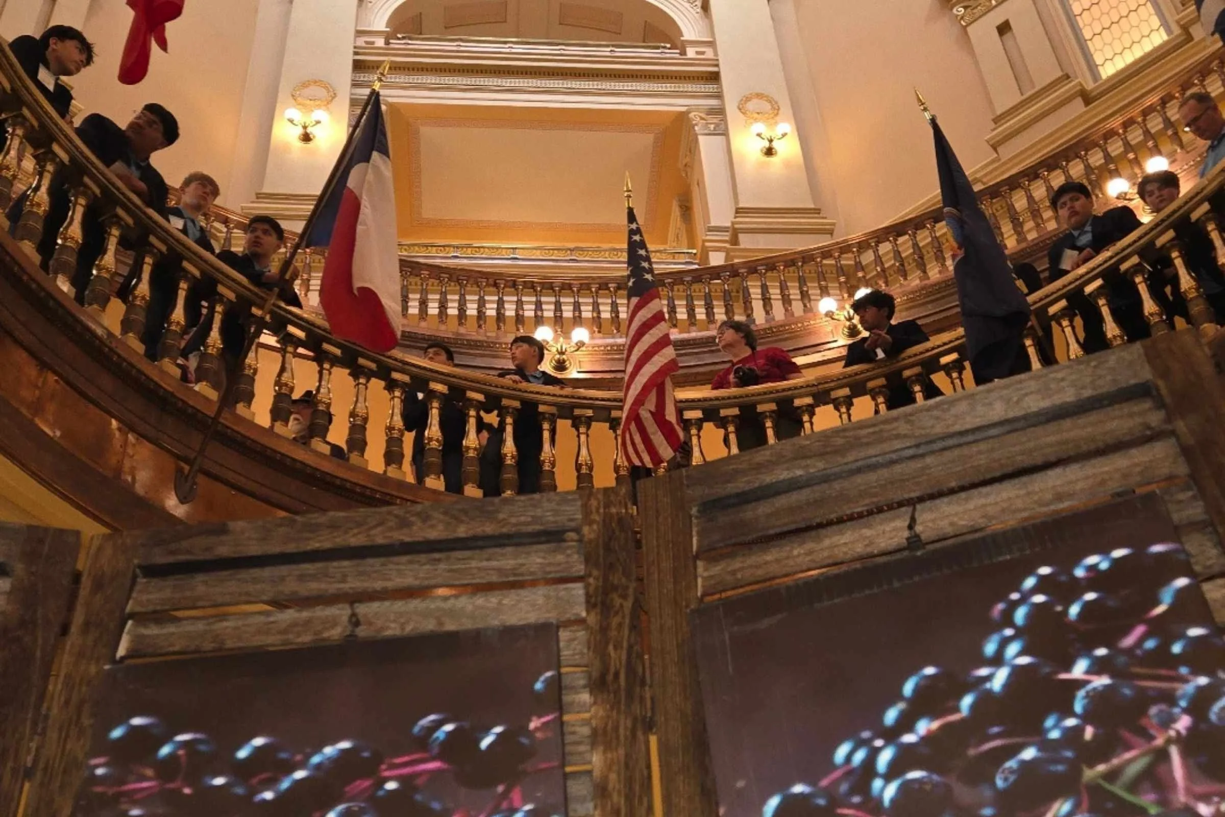 Visitors stand along the upper balcony of the Missouri State Capitol rotunda overlooking a display featuring large images of ripe American elderberries, with the U.S. and Missouri state flags hanging prominently in the center.