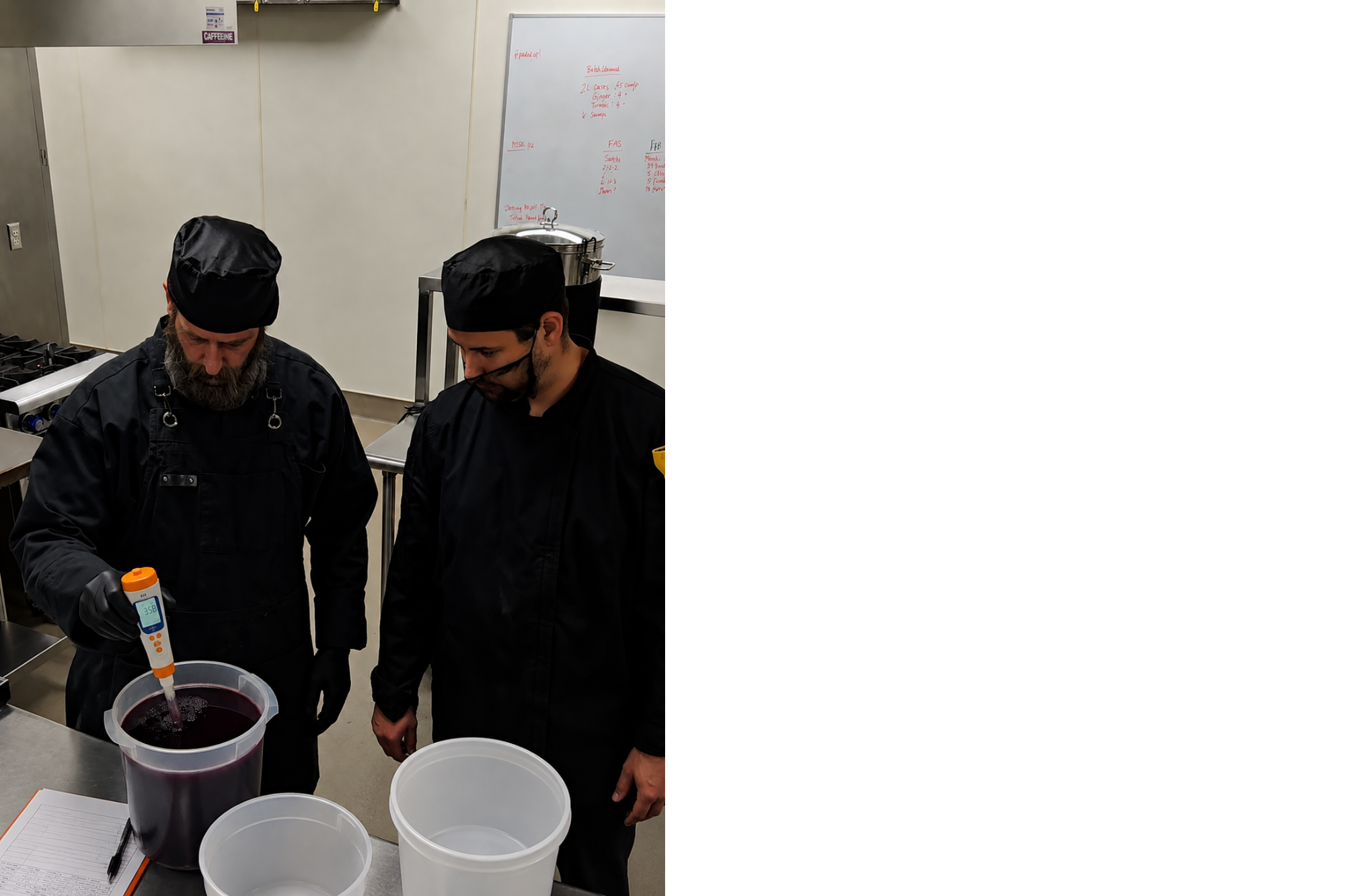 Food processing professionals testing pH levels of acidified elderberry juice in a commercial kitchen to verify product safety, quality, and regulatory compliance.