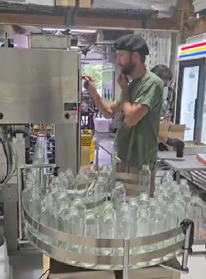 Worker monitoring a bottling line as glass bottles move through a beverage production facility during post-harvest processing and packaging.