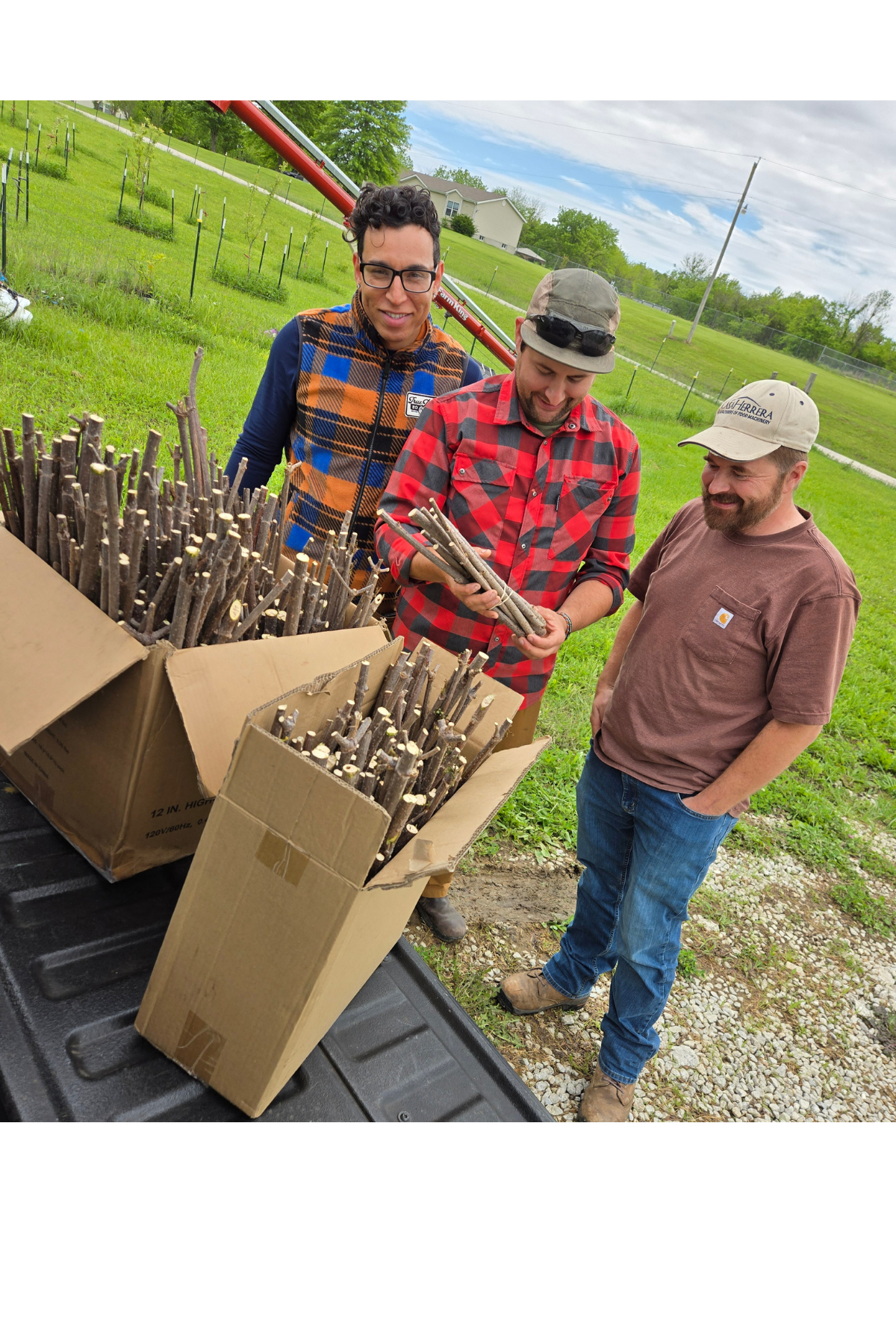 Growers examining bundles of American elderberry hardwood cuttings during a collaborative plant distribution event supporting regional orchard establishment and specialty crop production.