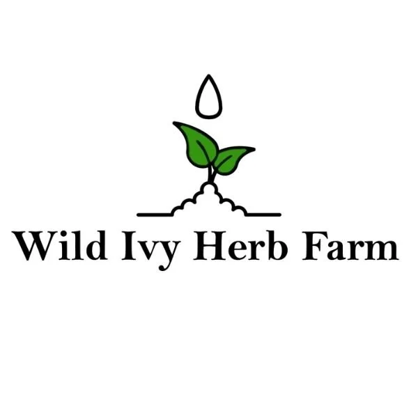 Wild Ivy Herb Farm logo showing a young green plant sprouting from soil with a water droplet above, representing sustainable herb farming and plant cultivation