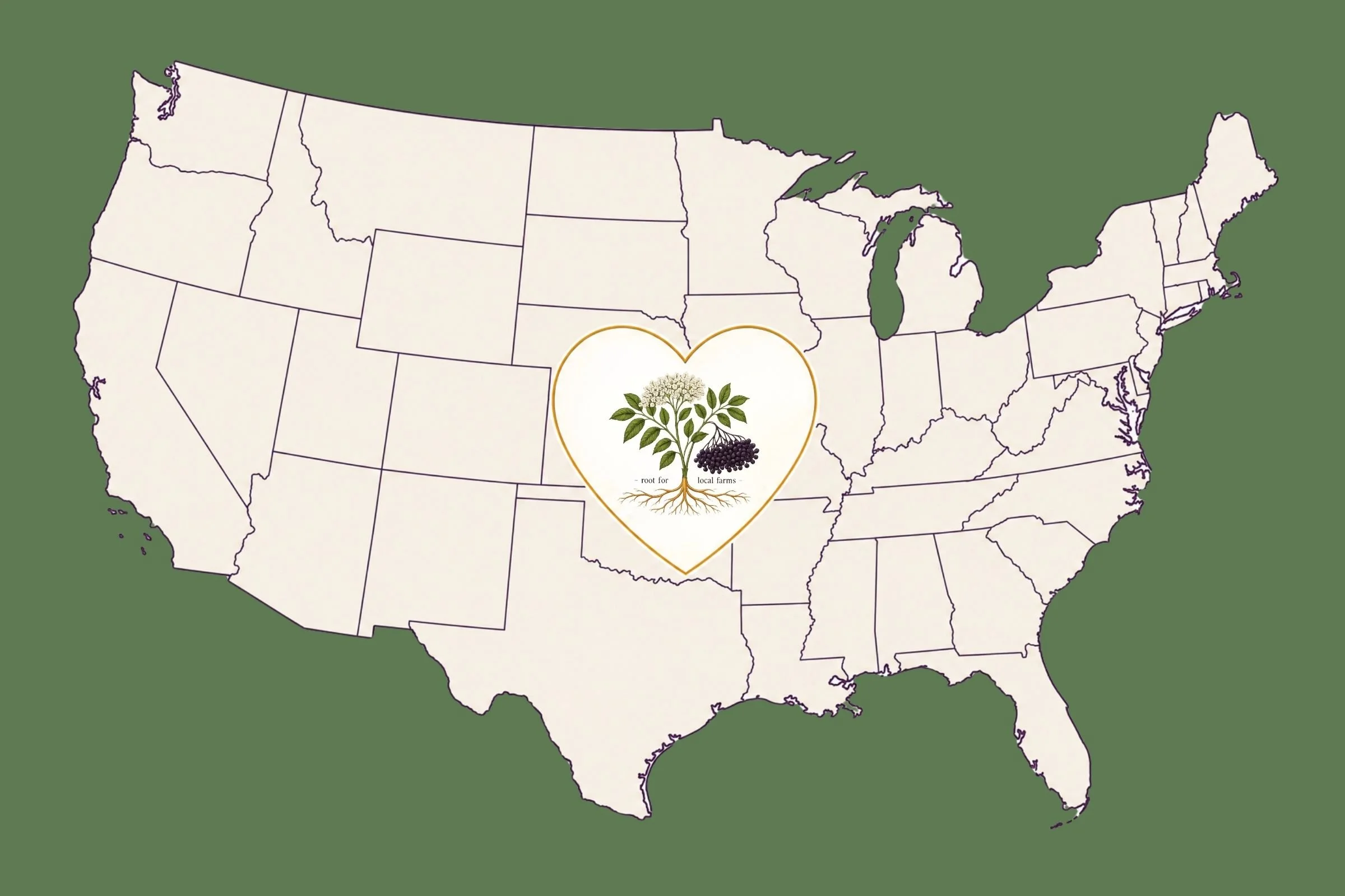 Illustrated map of the United States highlighting the central Heartland region with a heart-shaped emblem containing an American elderberry plant and the words "root for local farms"