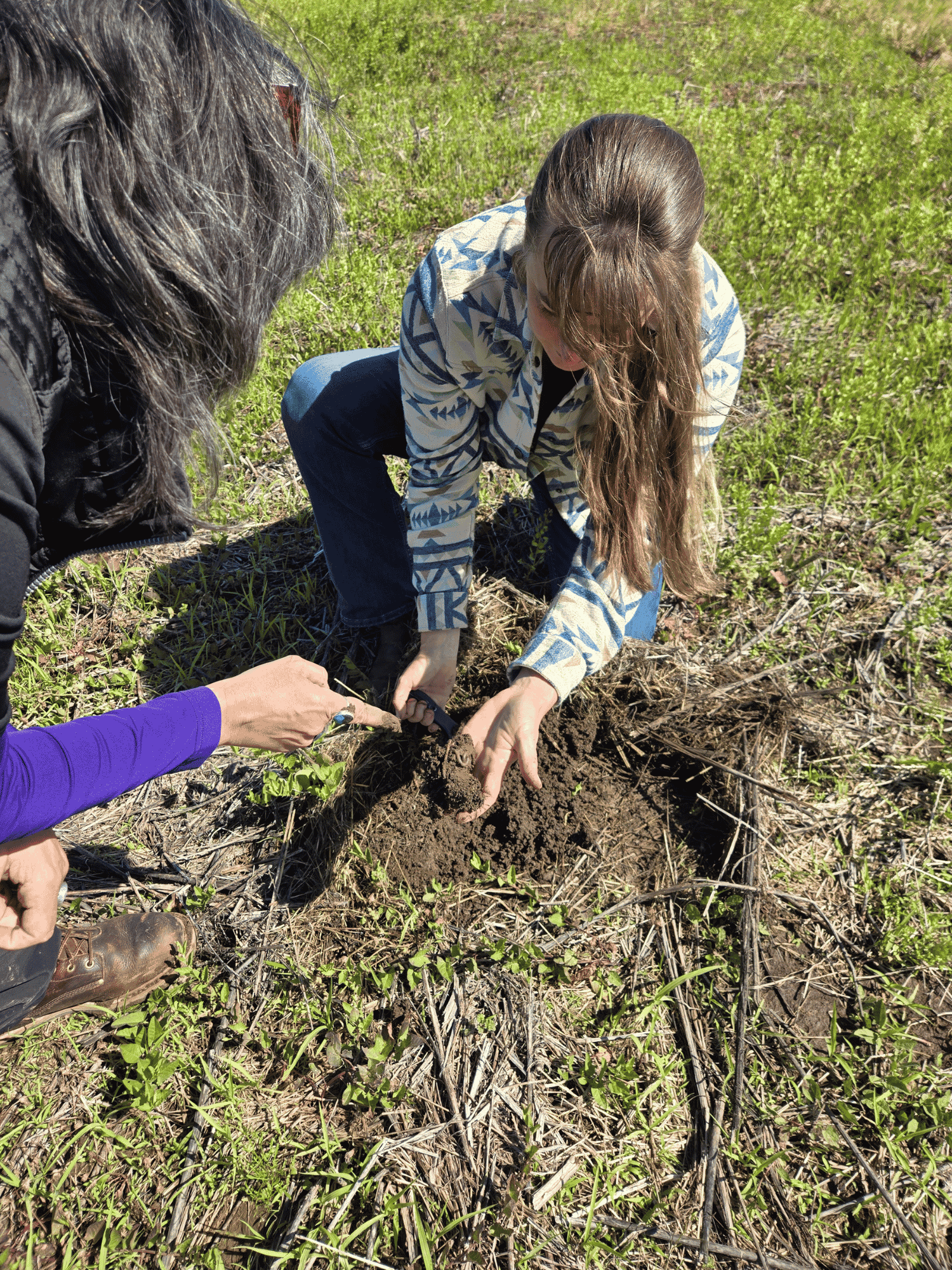 Collaborative members working hands-on in soil during regenerative elderberry farming activities