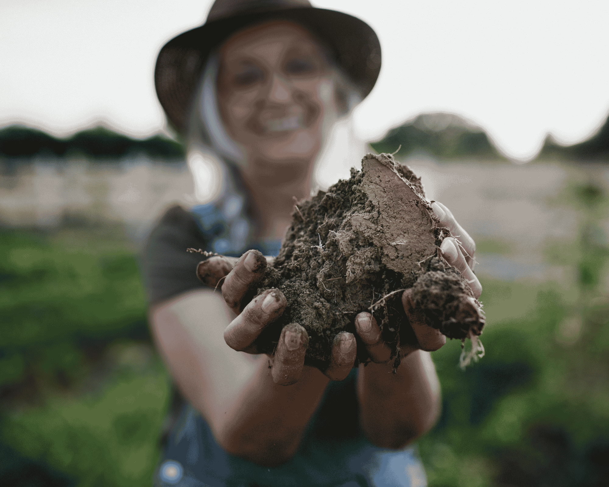 Farmer examining a soil sample in an agricultural field as part of soil testing and soil health assessment for crop production and land management.