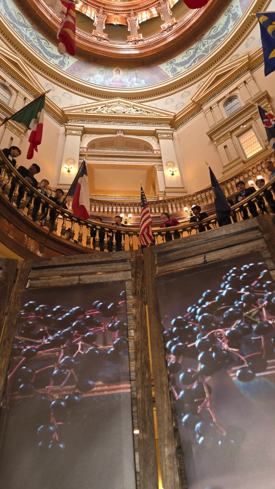 American elderberry exhibit promoting specialty crop industry development at a state capitol.