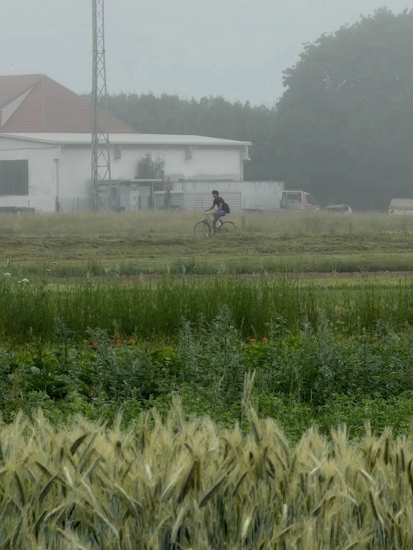 Morali bi biti hvaležni, da se ljudje na pot odpravijo s kolesom. Vsak kolesar je en avto manj. Prostora je več. Zrak je čistej&scaron;i. Vsi udeleženci v prometu so na bolj&scaron;em. Varnej&scaron;i! #polnizagona