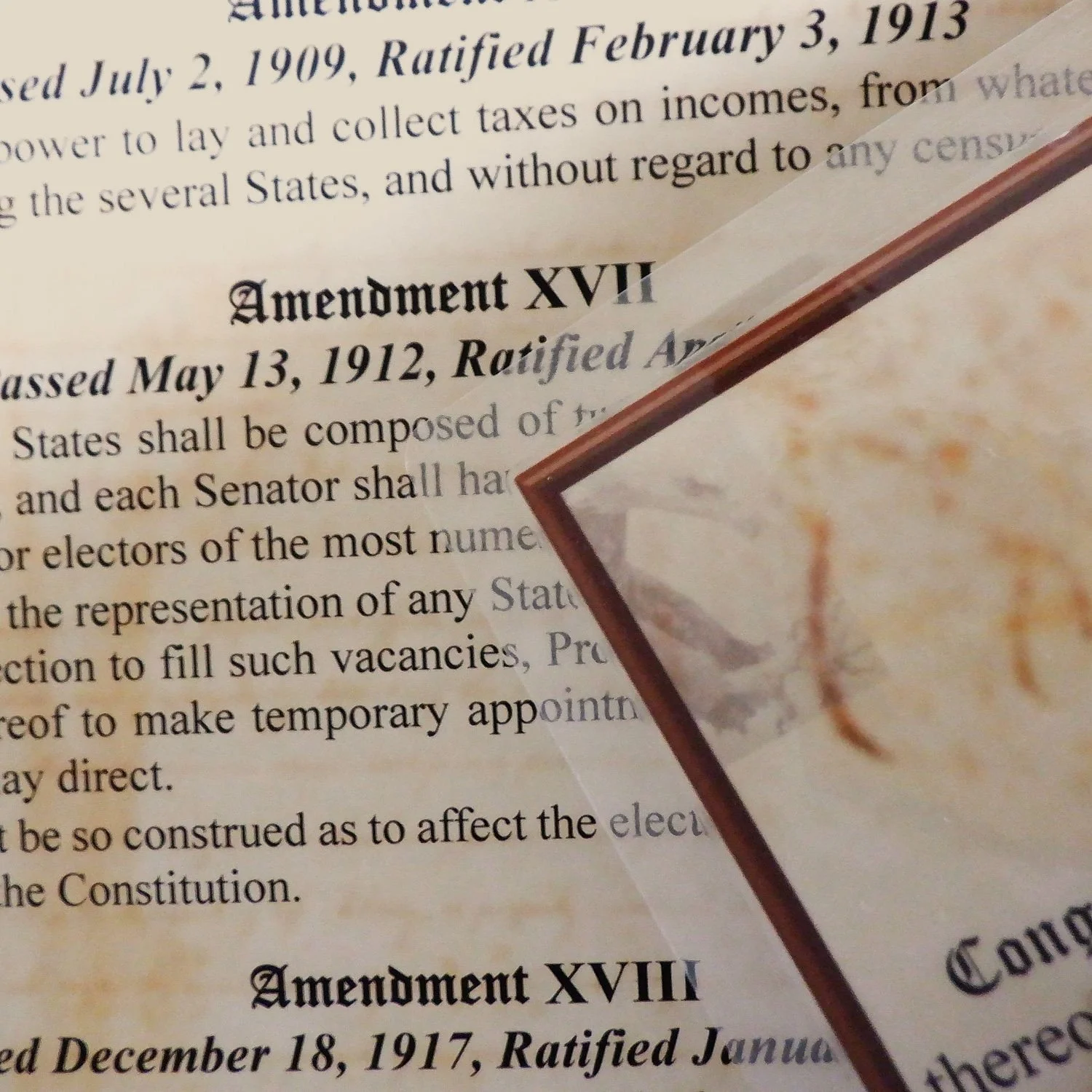 The Bill of Rights thermally laminated.