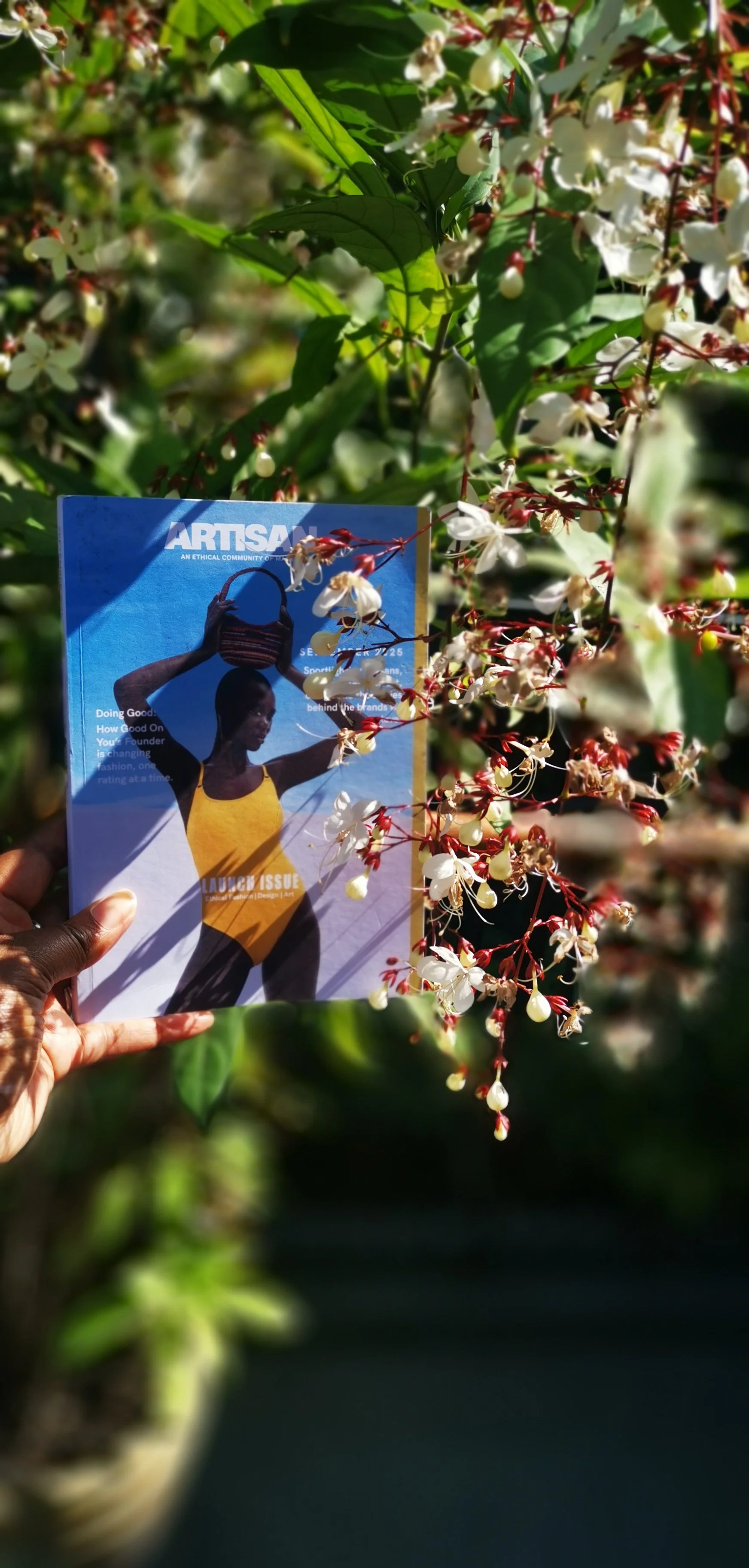 A person holding a magazine titled 'ARTISAN' in front of flowering branches with white and red blossoms, sunlight illuminating the scene.