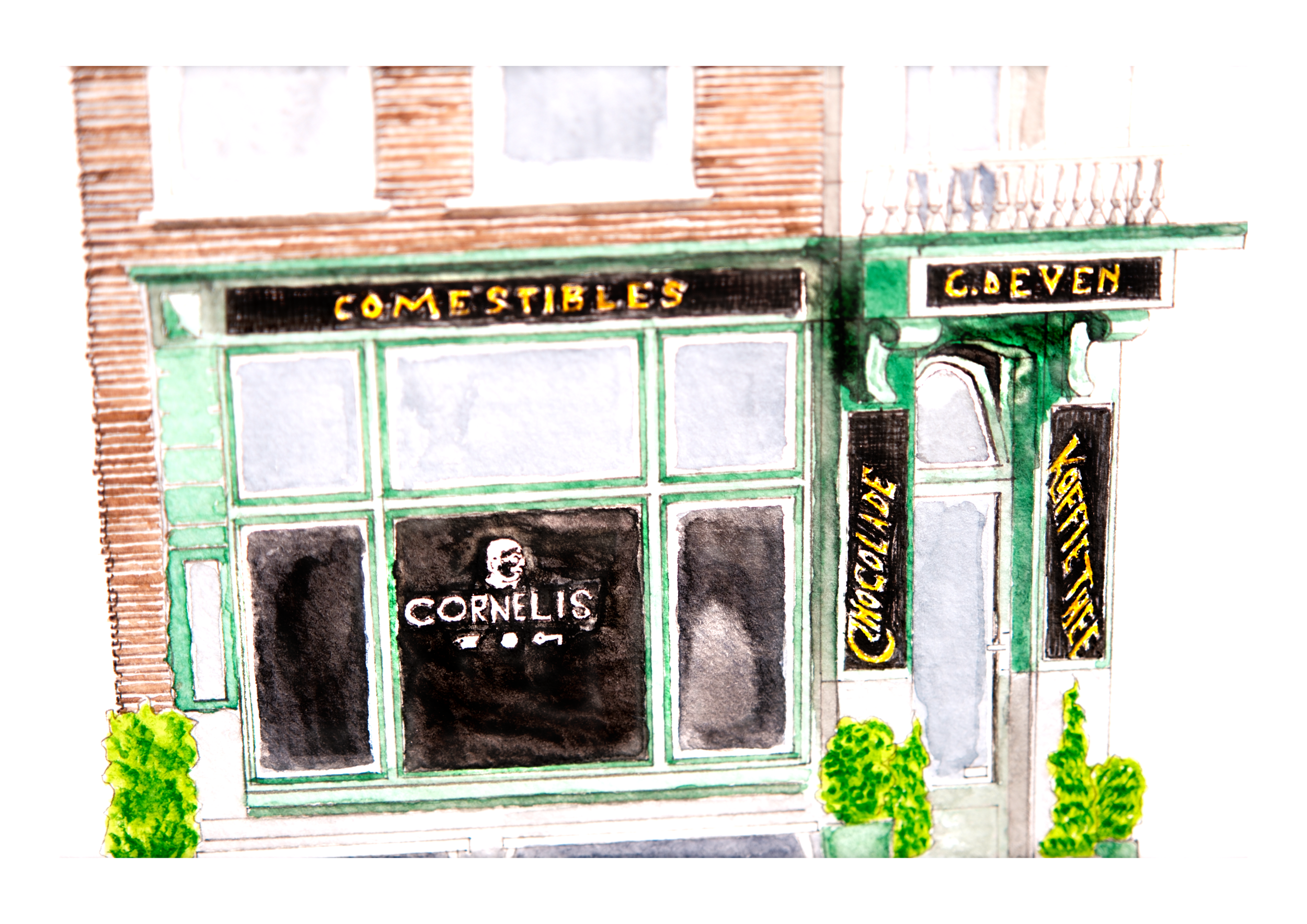 cornelis_6.png