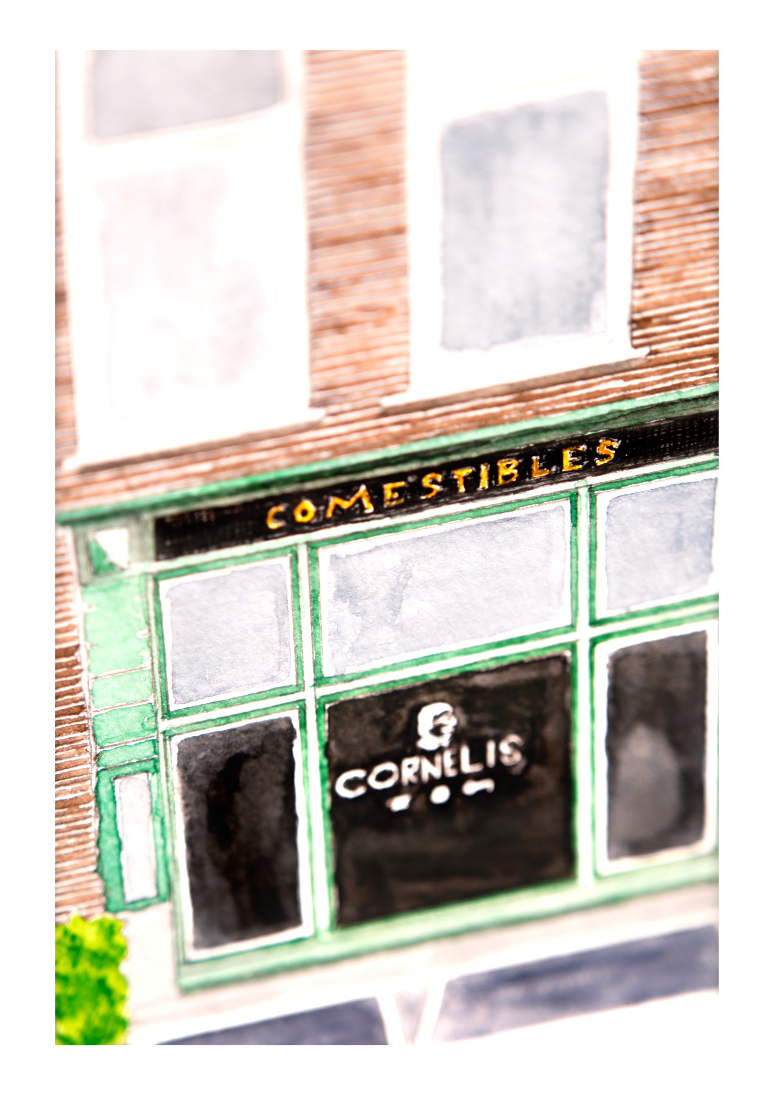 cornelis_8.png