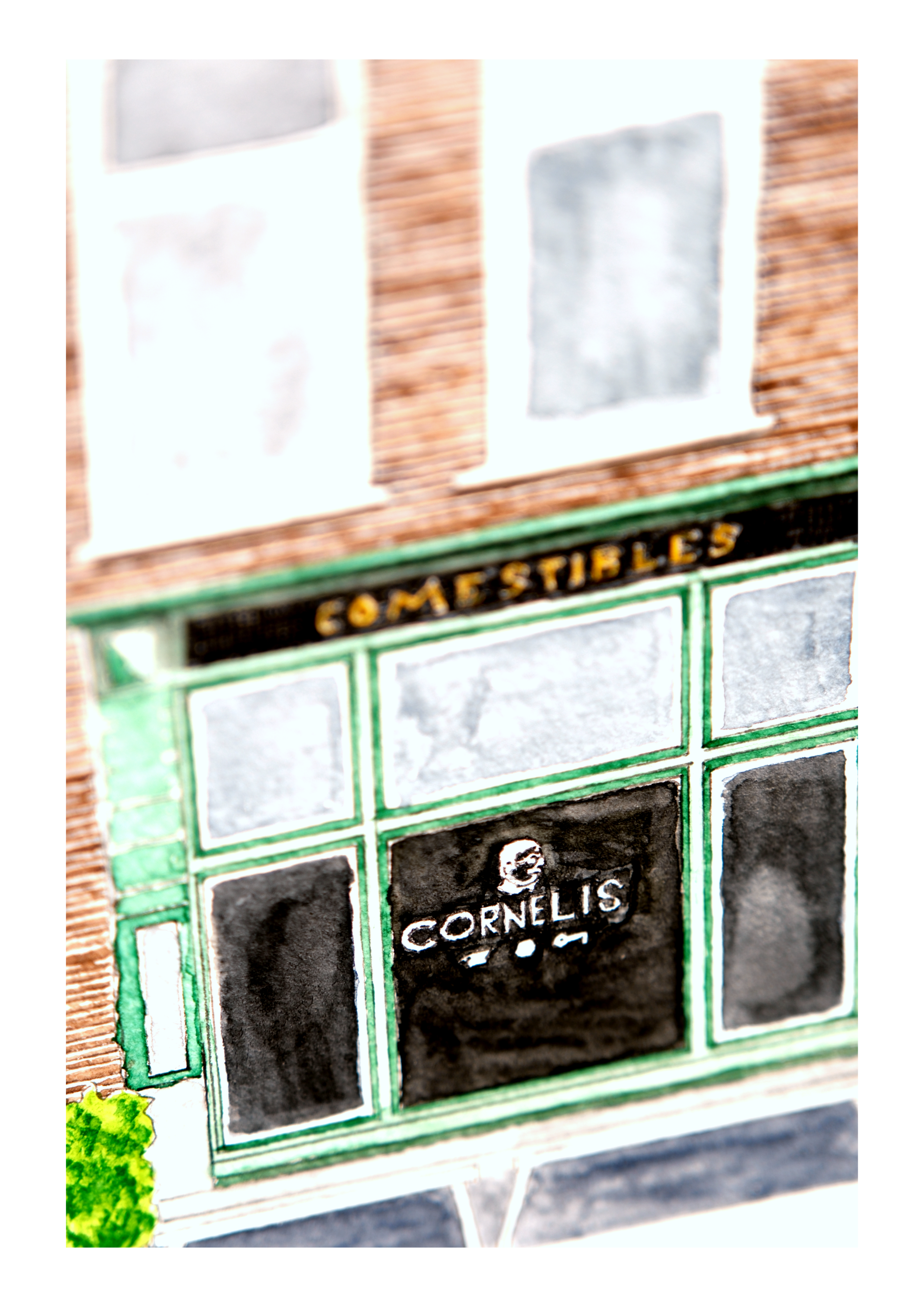 cornelis_9.png