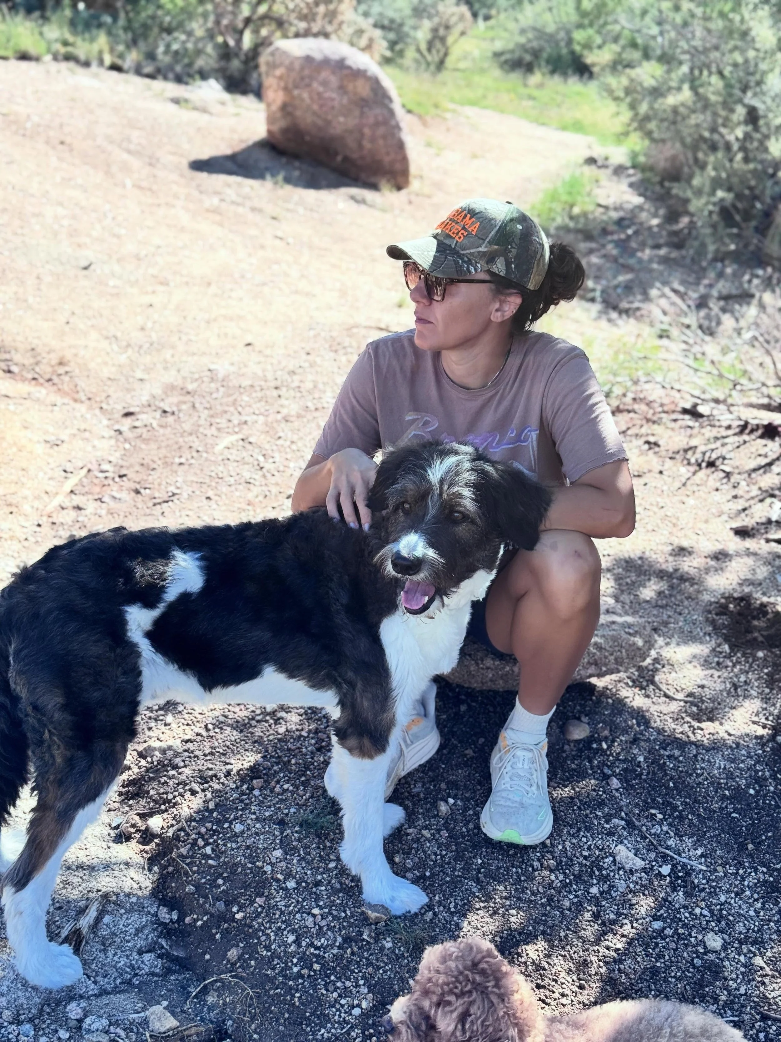 While your pup is winding down for the night&hellip; are they getting enough adventure, enrichment, and social time? 🥾🌲🐕

At Wild Pack ABQ￼, we offer small dog group adventure hikes designed to help dogs build confidence, burn energy, explore safe