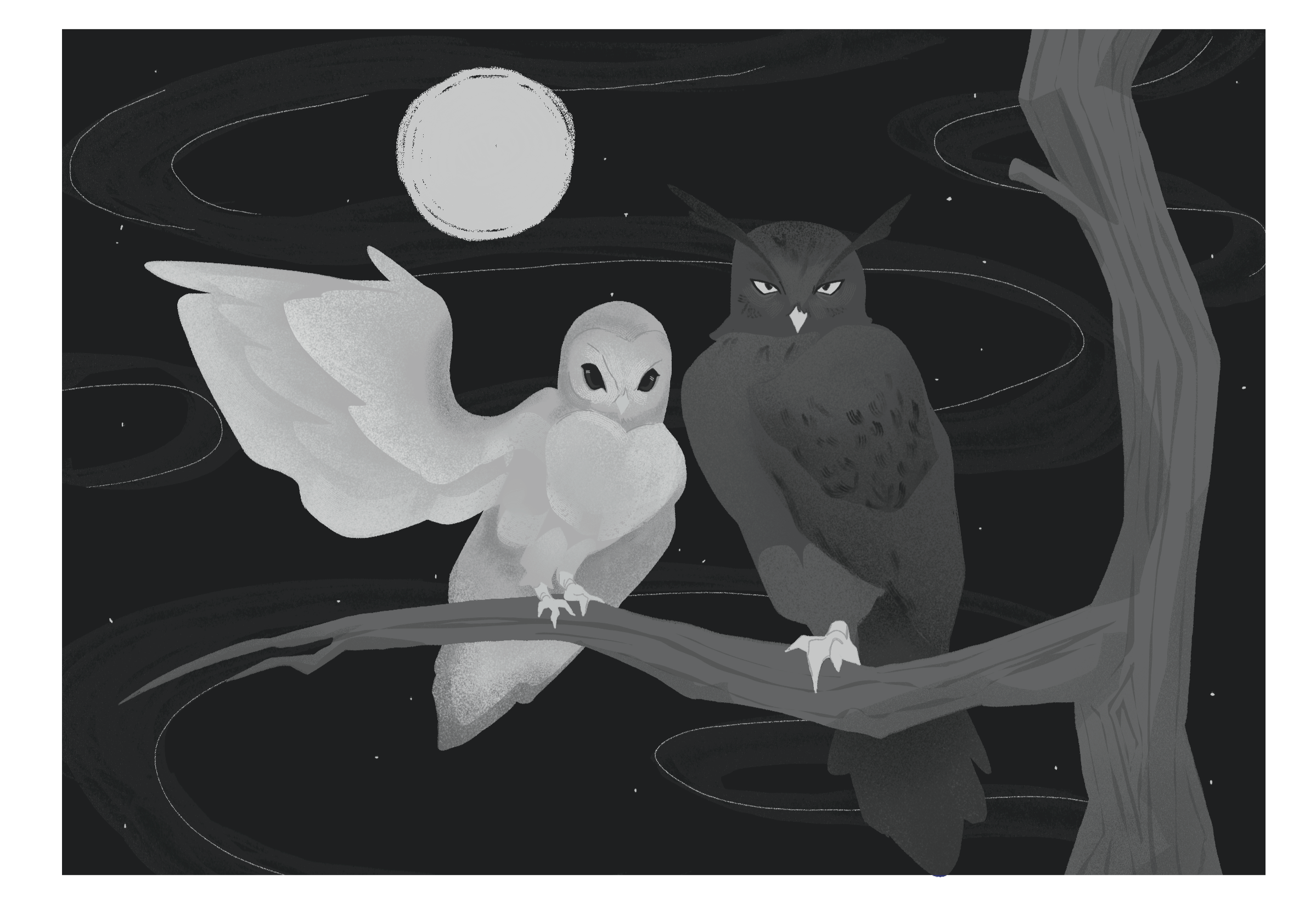GREYSCALE PLAN ON 1/2 PAGE ILLUSTRATION