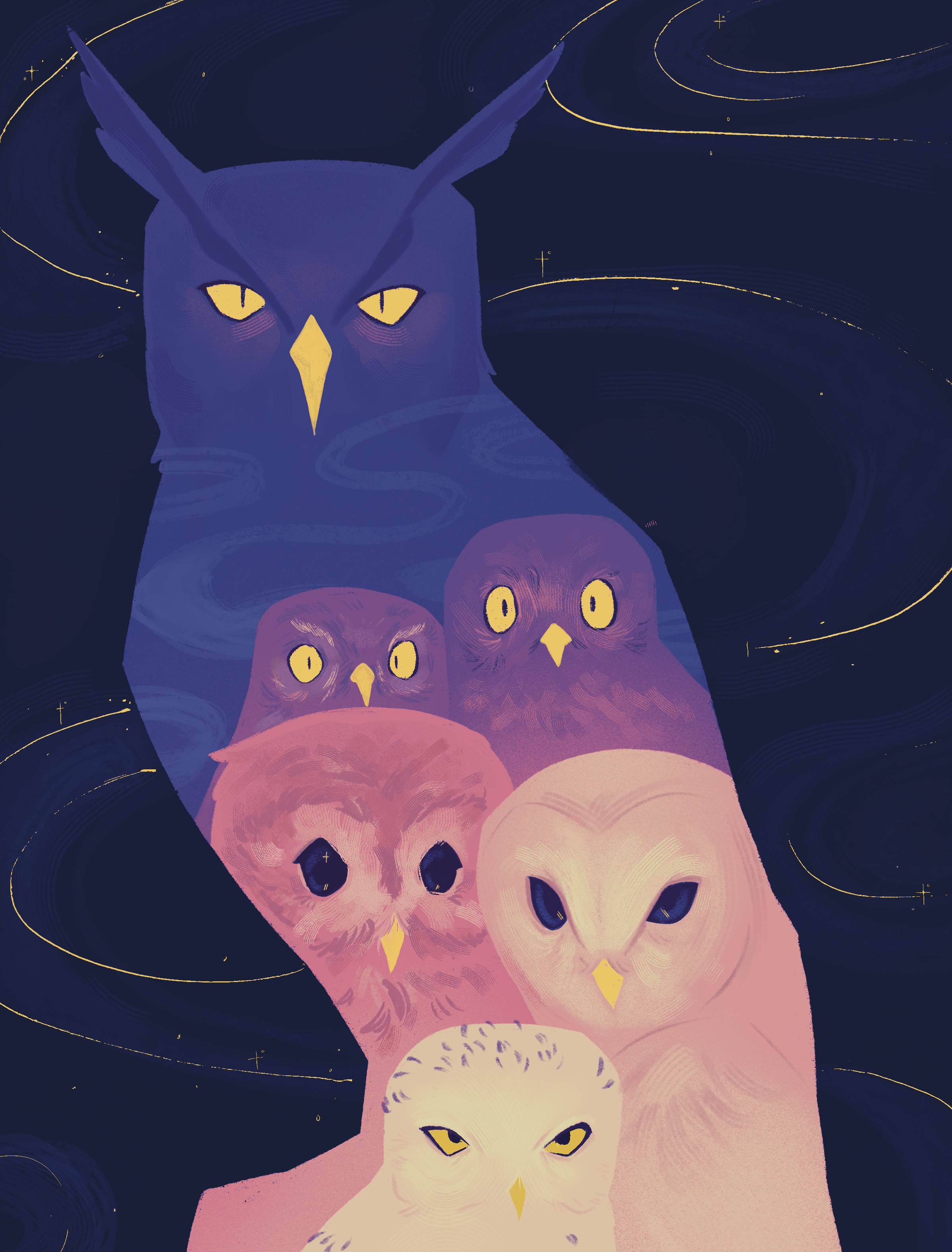 CALL OF THE NIGHT