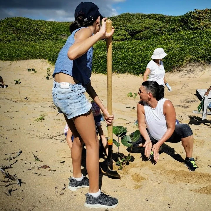 A girl in denim shorts and a blue shirt planting a small tree with guidance from a woman in a white tank top and black pants on a sandy beach.