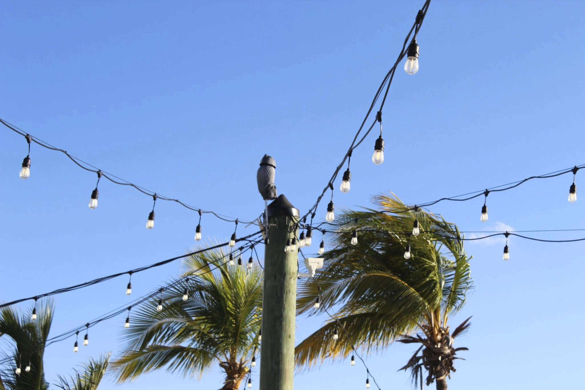 Islamorada, FL
06/2023