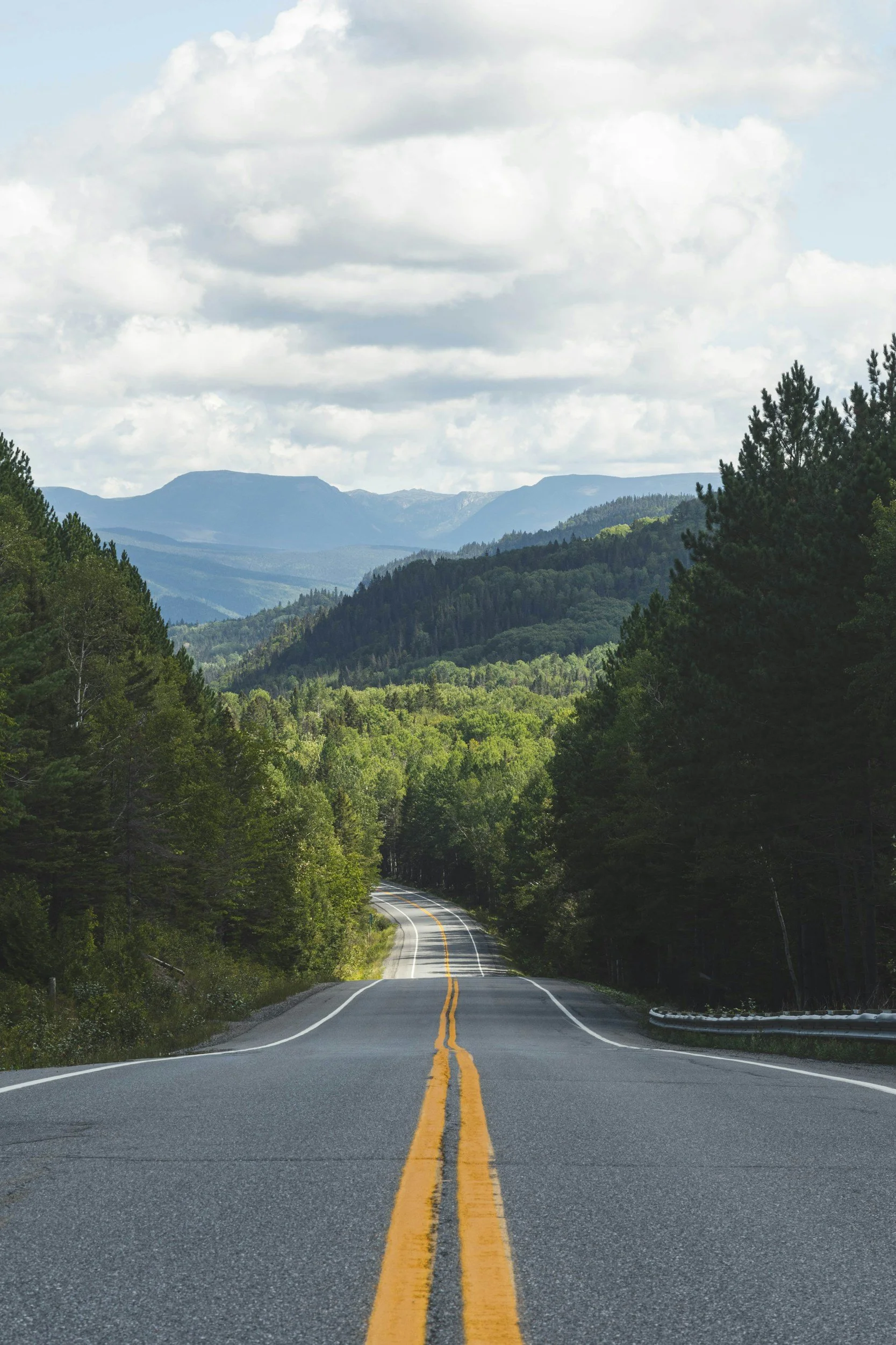 A winding two-lane road with yellow markings, surrounded by dense green trees and forested hills, leading towards mountains in the distance under a partly cloudy sky.