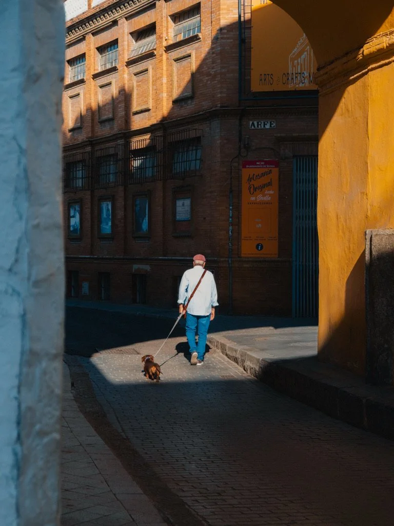 A person walking a small dog on a leash on a city street, with brick buildings and colorful walls, in sunlight and shadows.