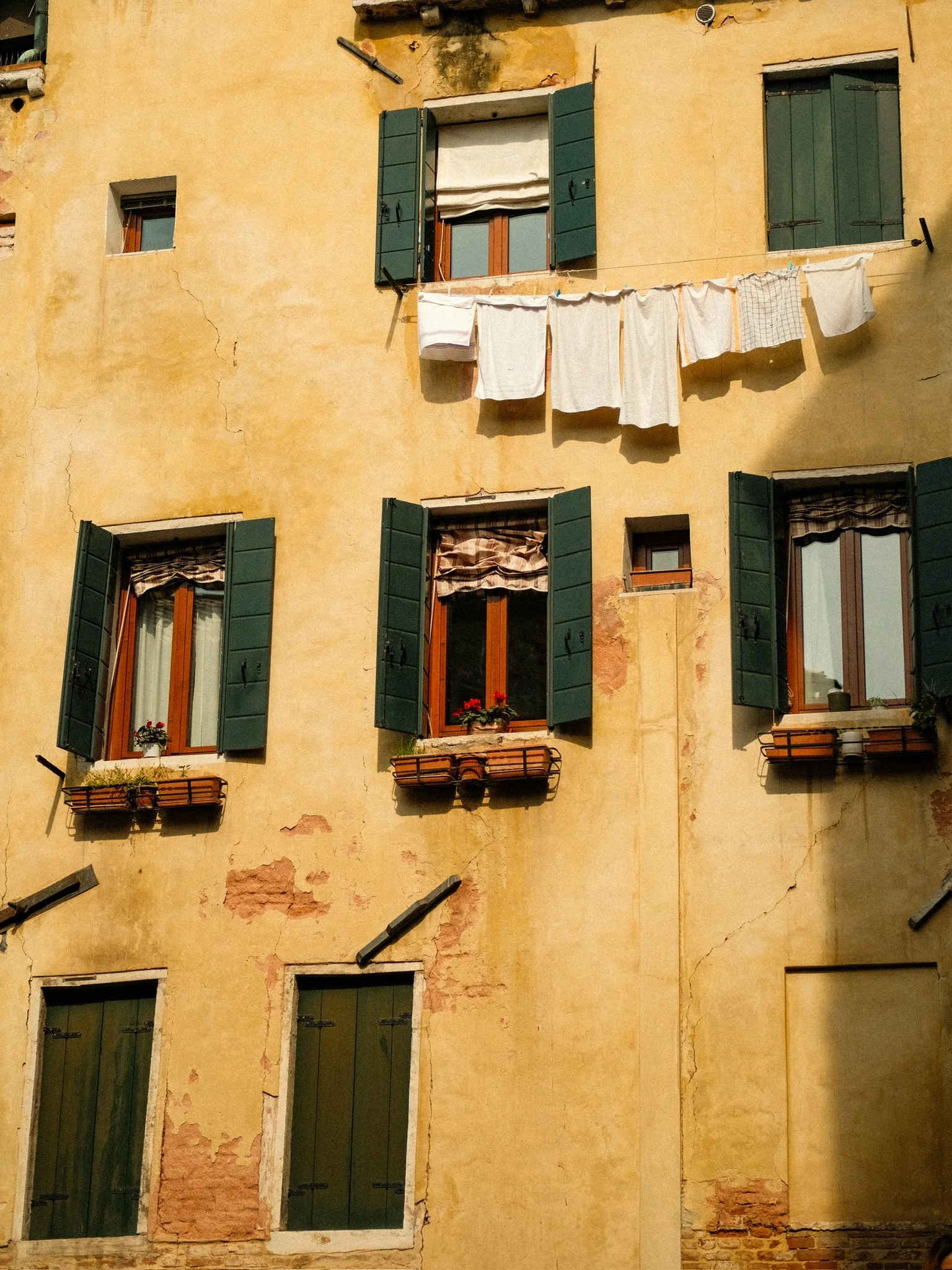 Several windows with open green shutters on an old yellow stucco building, some with curtains and flower pots outside.