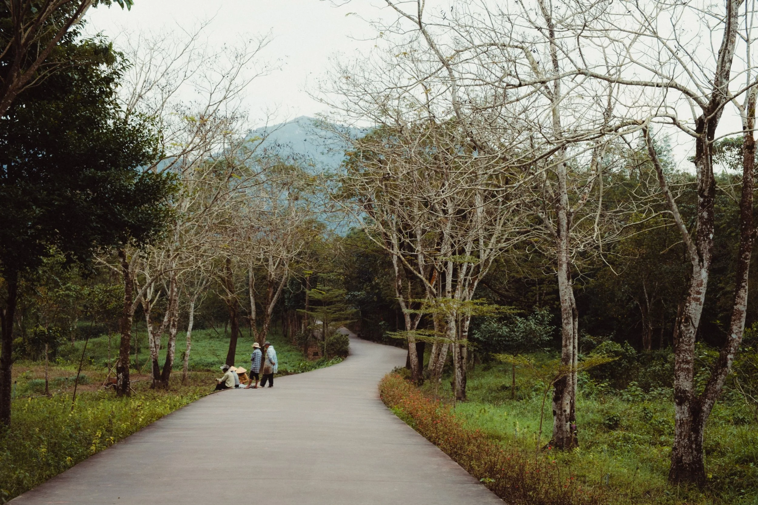A winding park path surrounded by leafless trees, with mountain in the background and four people, some sitting and some standing, wearing hats nearby.