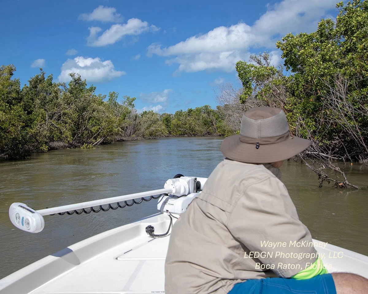 Fishing in the Everglades - Flamingo, Florida