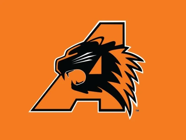 Aledo ISD schools near Lakeridge Ranches luxury acreage community in Parker County Texas