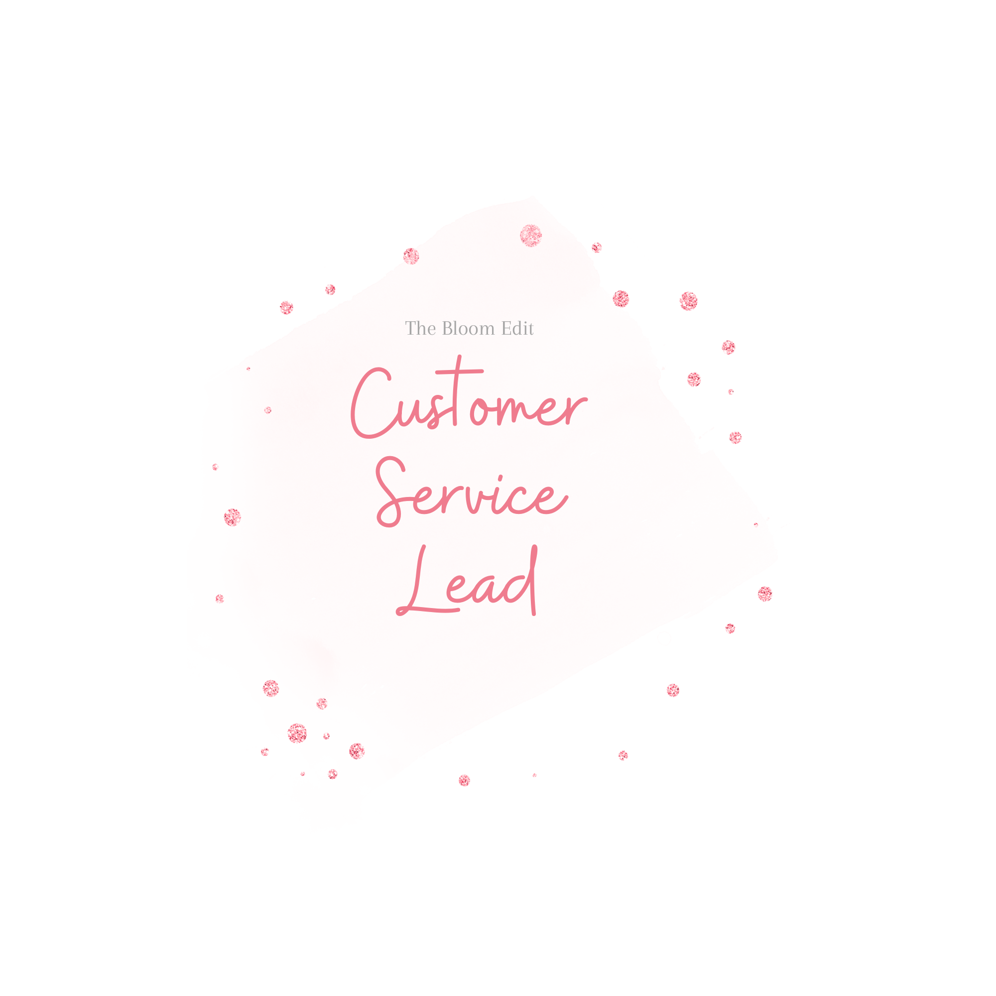 Customer Service Lead Template