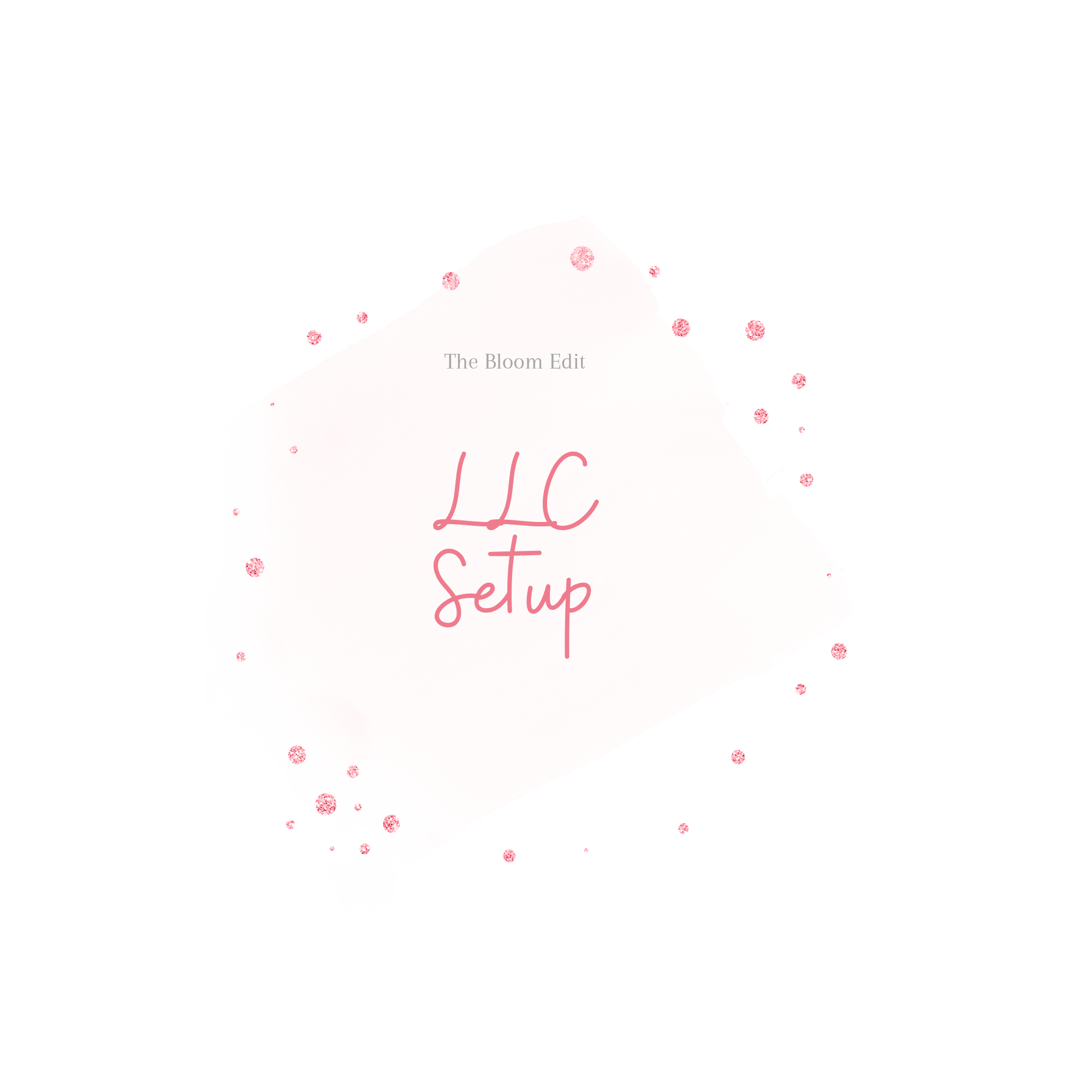 LLC Setup