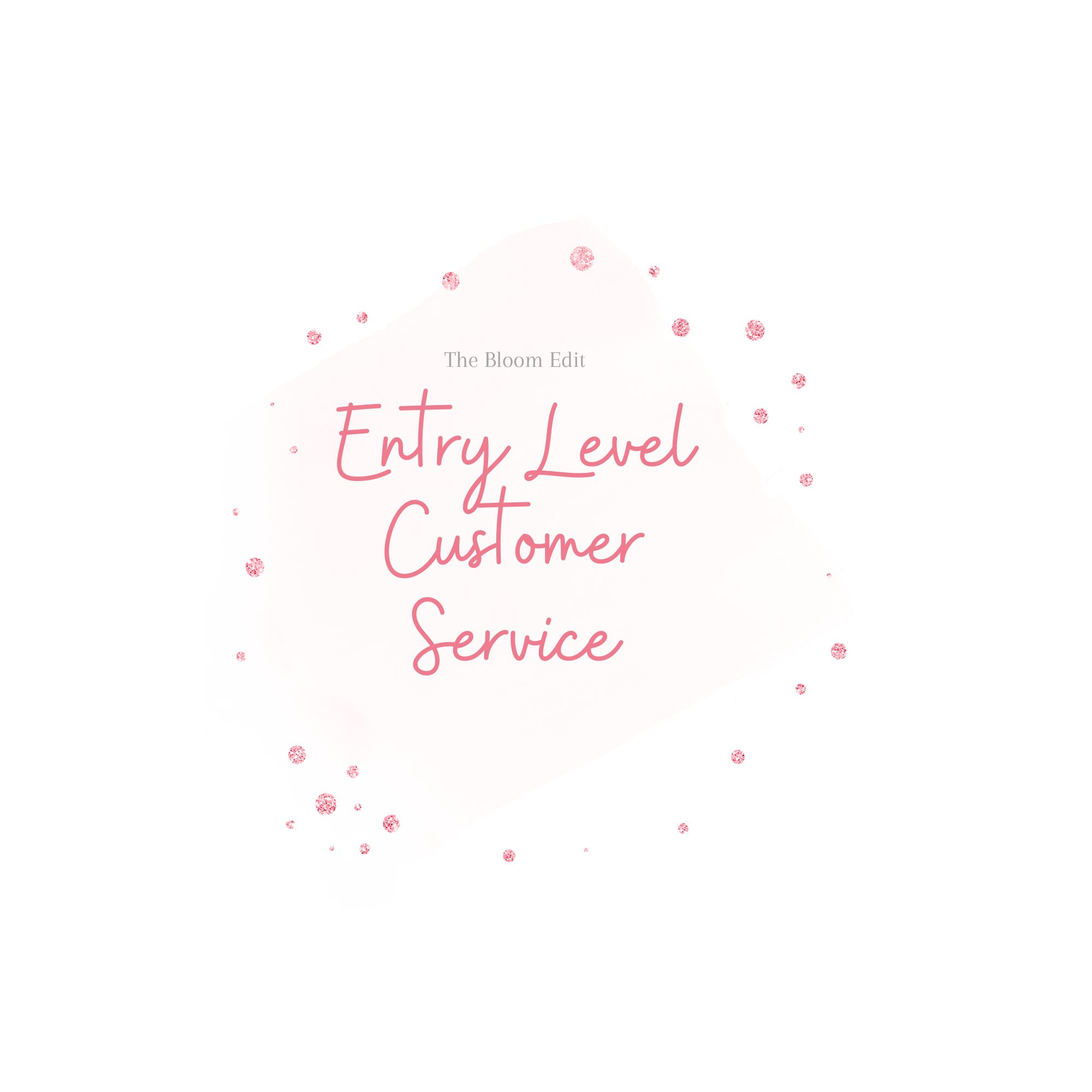 Entry Level Customer Service Template