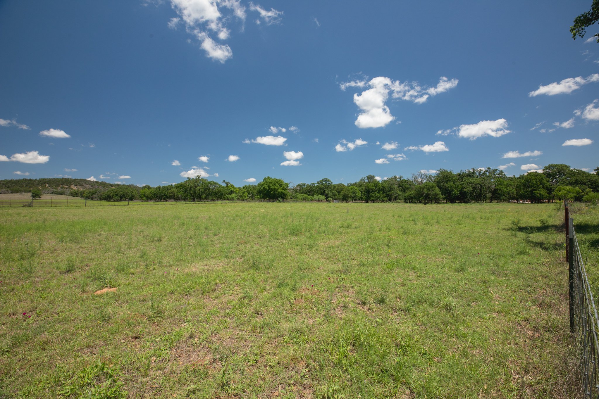 Open grassy field with trees and a fence on the right, under a blue sky with scattered clouds.