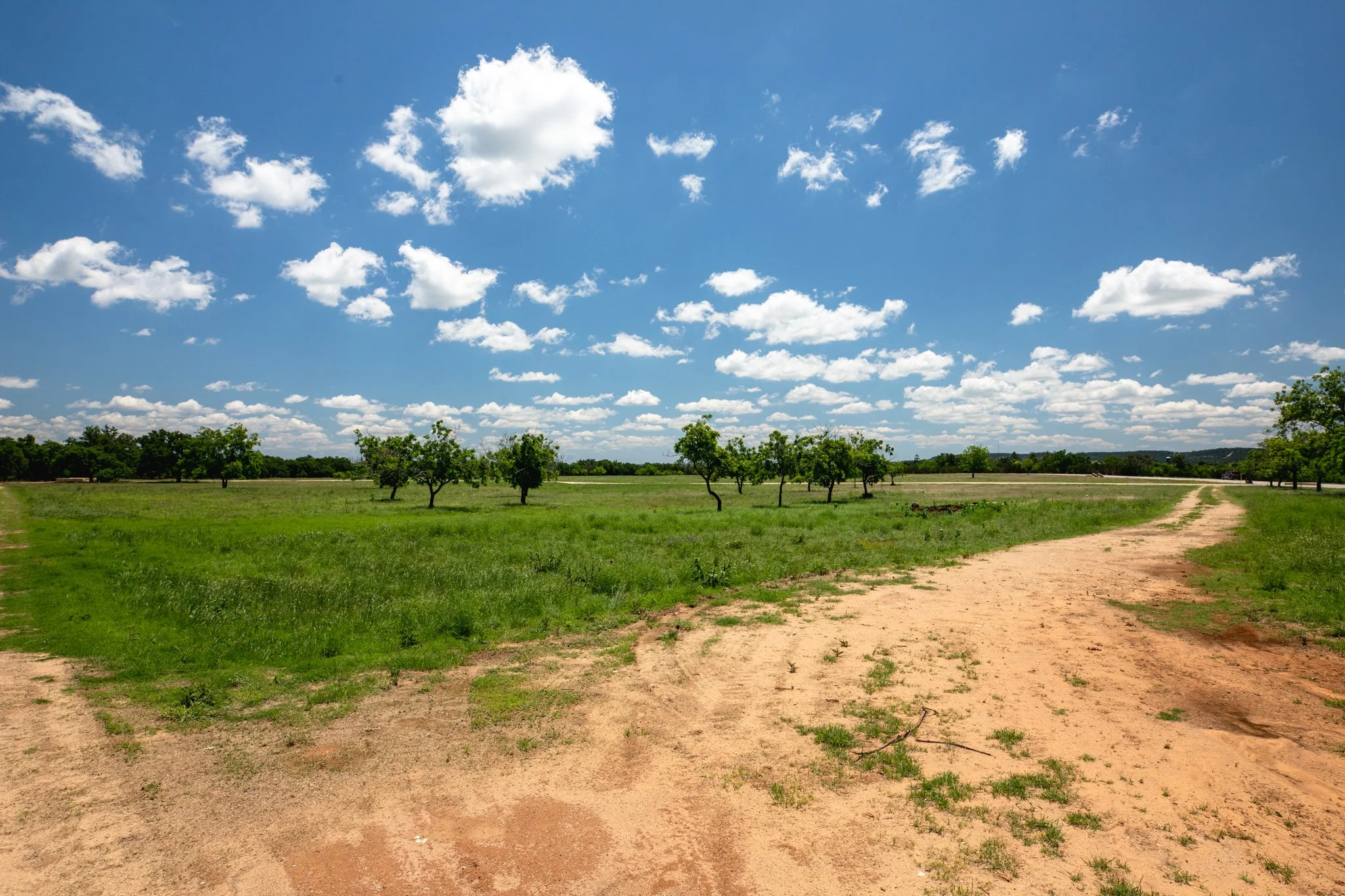 Open grassy field with scattered trees under a blue sky filled with white clouds, and a dirt path in the foreground.