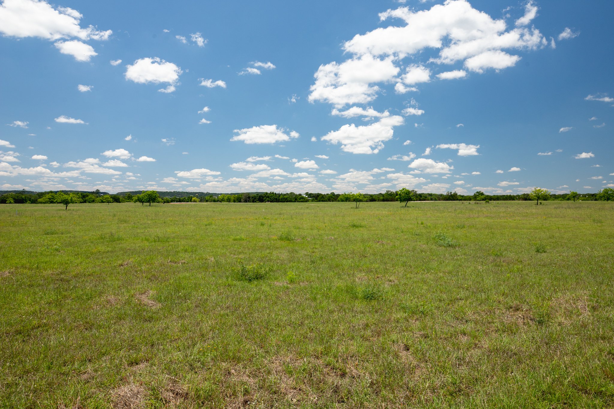 A wide grassy field with a few small trees under a bright blue sky with scattered white clouds.