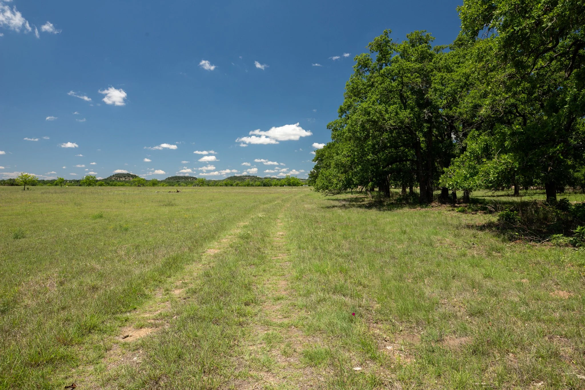 A rural landscape with a grassy field, a dirt path through the grass, and large green trees on the right side. A clear blue sky with scattered white clouds and distant hills on the horizon.