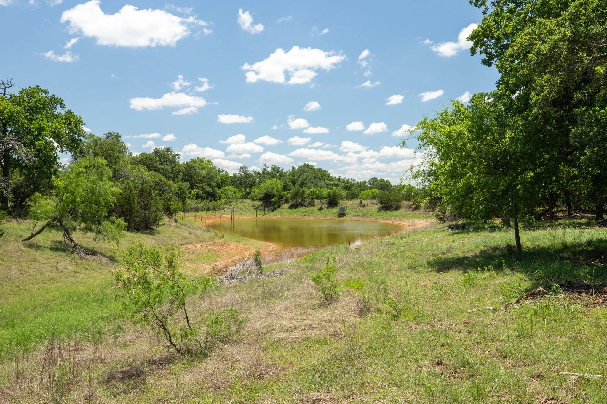 A landscape with a small pond surrounded by green trees and grass under a partly cloudy sky.