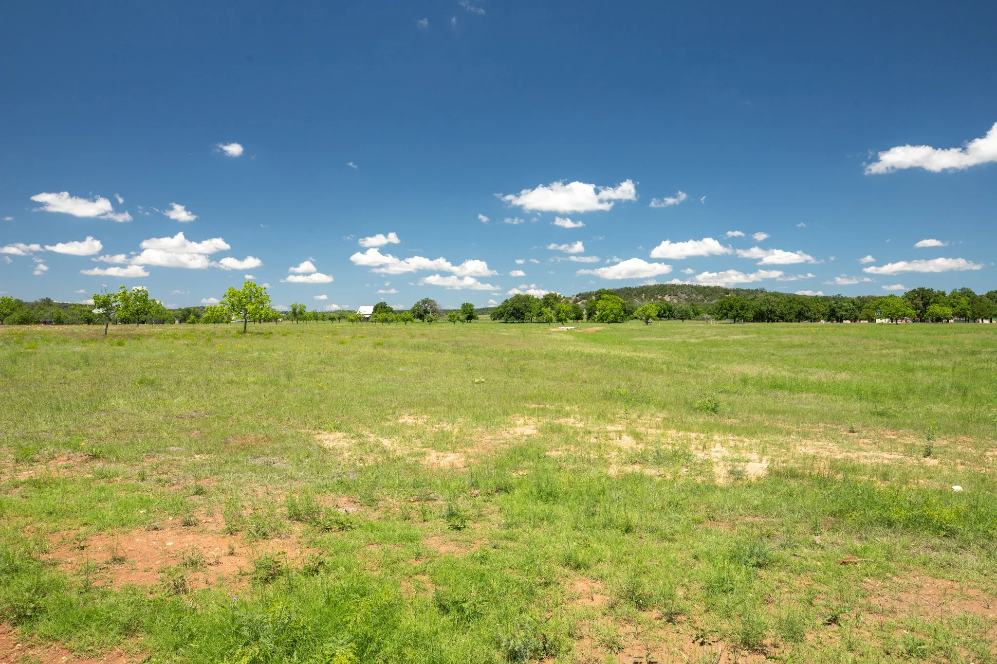 A wide open grassy field with some small trees, a white building or barn in the distance, and a hill covered with trees under a bright blue sky with scattered white clouds.