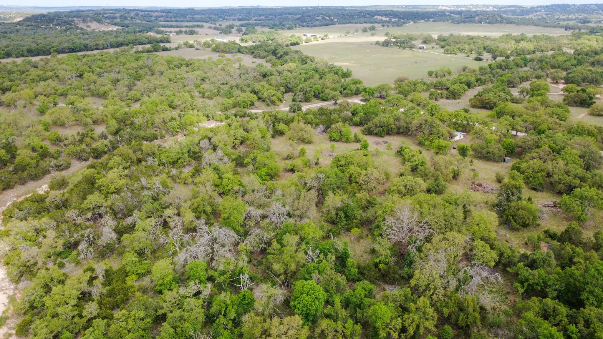Aerial view of a landscape with dense green trees, open grassy areas, and scattered small structures in the distance.