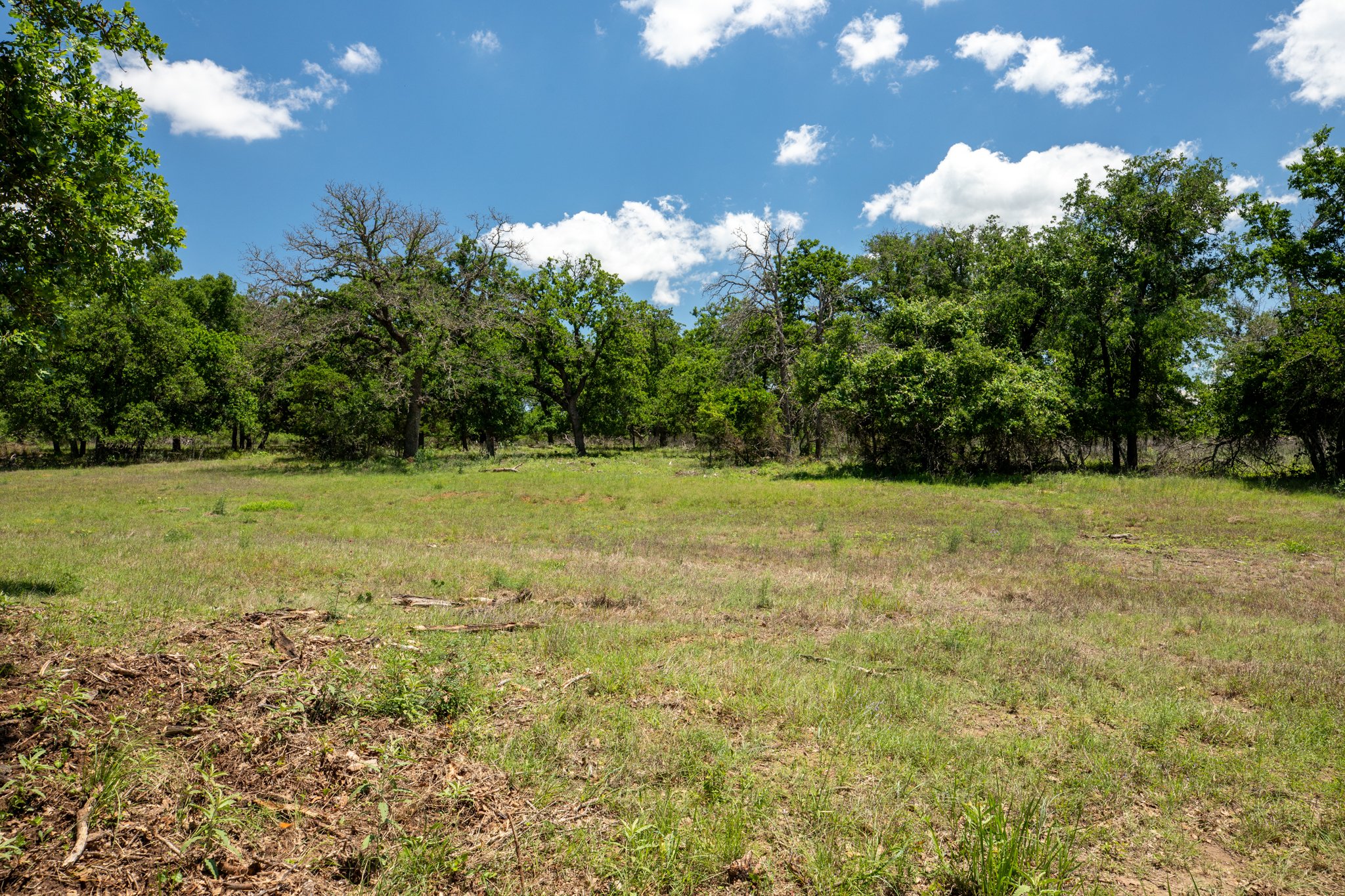 Open grassy field bordered by trees with green leaves under a partly cloudy blue sky.