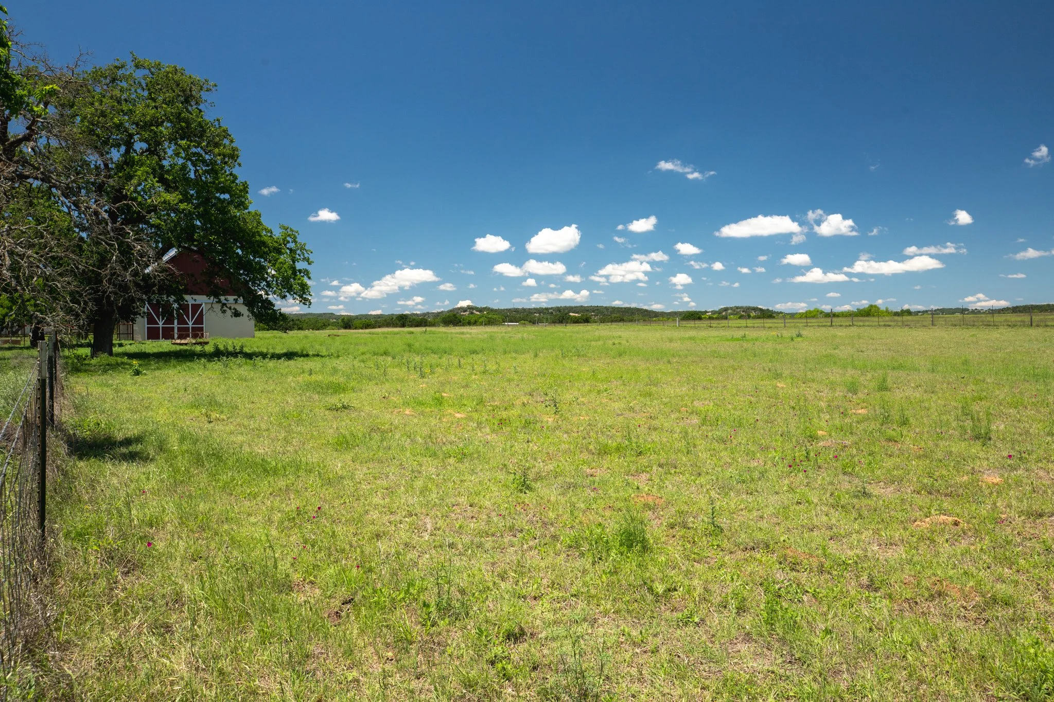 A green grassy field with a tree on the left side and a red barn partially visible behind the tree. The sky is bright blue with scattered white clouds.